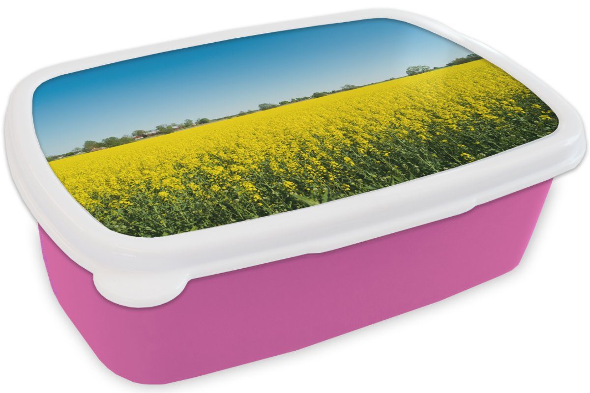 MuchoWow Lunchbox Ölsaat - - Kunststoff Erwachsene, Kinder, Gelb für rosa Brotbox Brotdose Mädchen, Kunststoff, Snackbox, Frühling, (2-tlg)