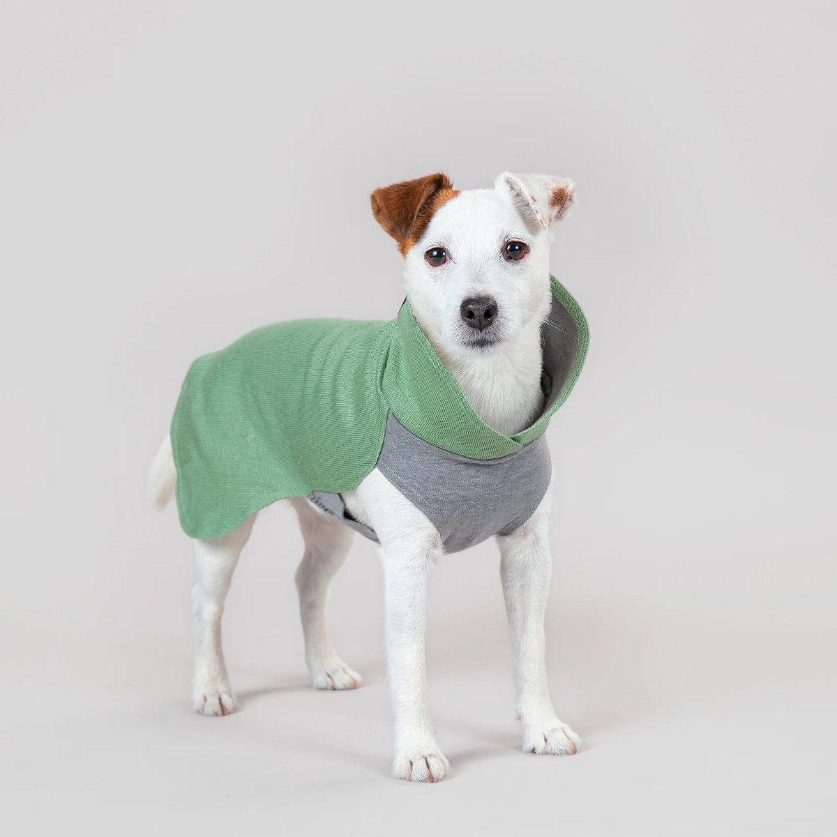 PAIKKA Hundepullover Hunde Pullover wärmend "Recovery Winter Shirt grün