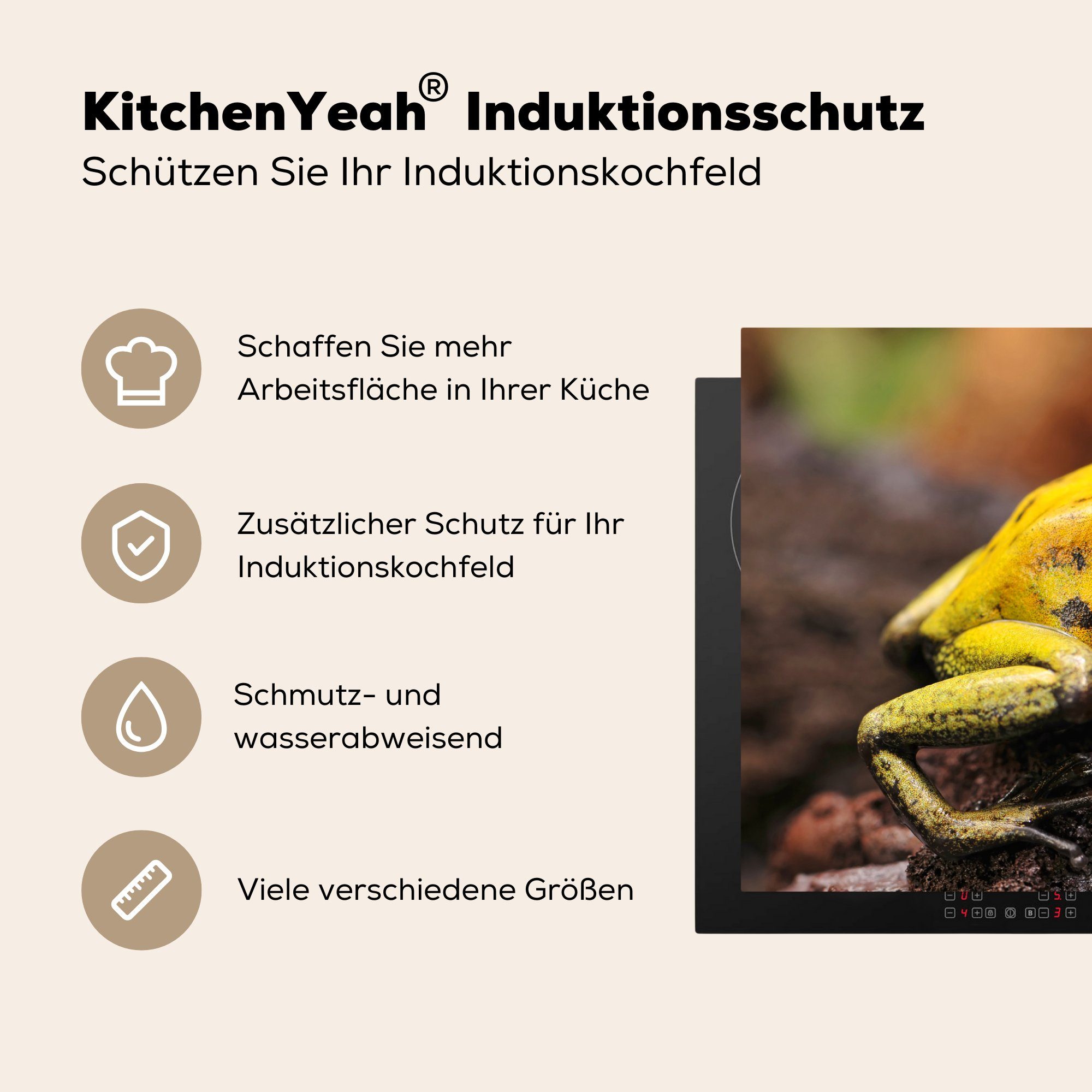die Vinyl, tlg), - Induktionskochfeld küche, Frosch 81x52 (1 cm, Gelb Wald, Herdblende-/Abdeckplatte MuchoWow - für Ceranfeldabdeckung Schutz