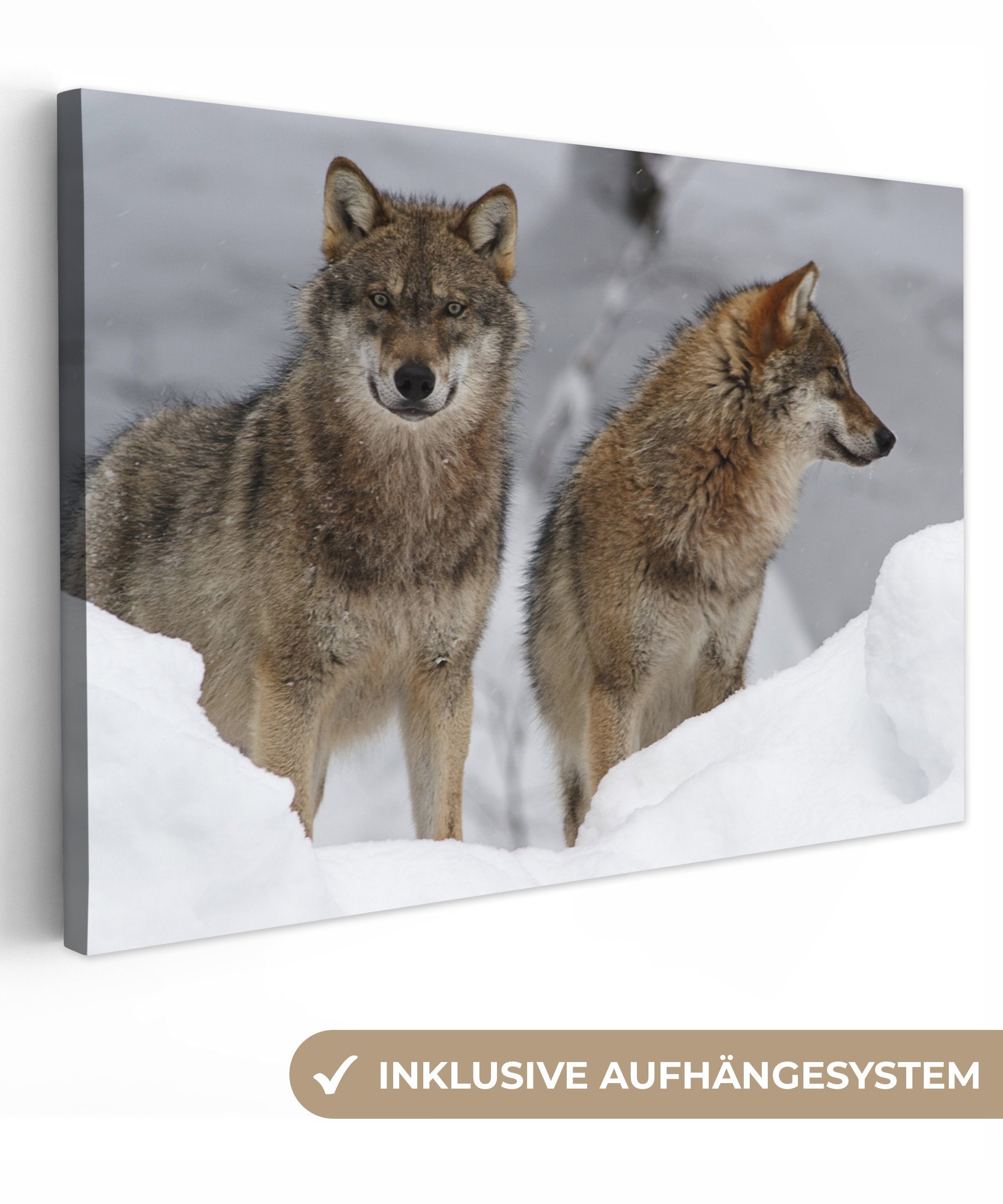 OneMillionCanvasses® Leinwandbild Wolf - Schnee - Tiere, (1 St), Wandbild Leinwandbilder, Aufhängefertig, Wanddeko, 30x20 cm | Leinwandbilder