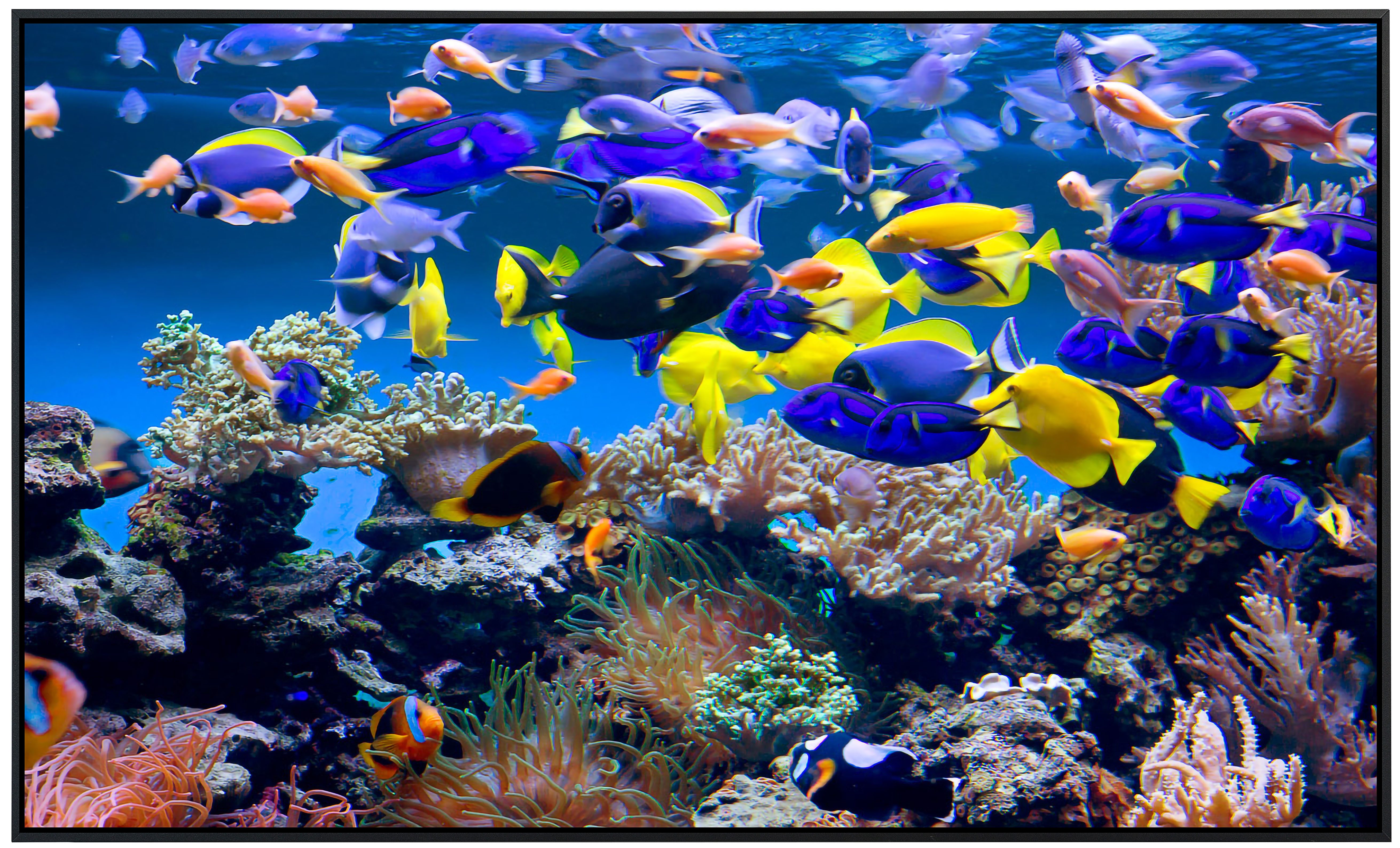 Papermoon Infrarotheizung INFRAROT-BILD-HEIZUNG, Aquarium, TÜV-Rheinland/GS günstig online kaufen