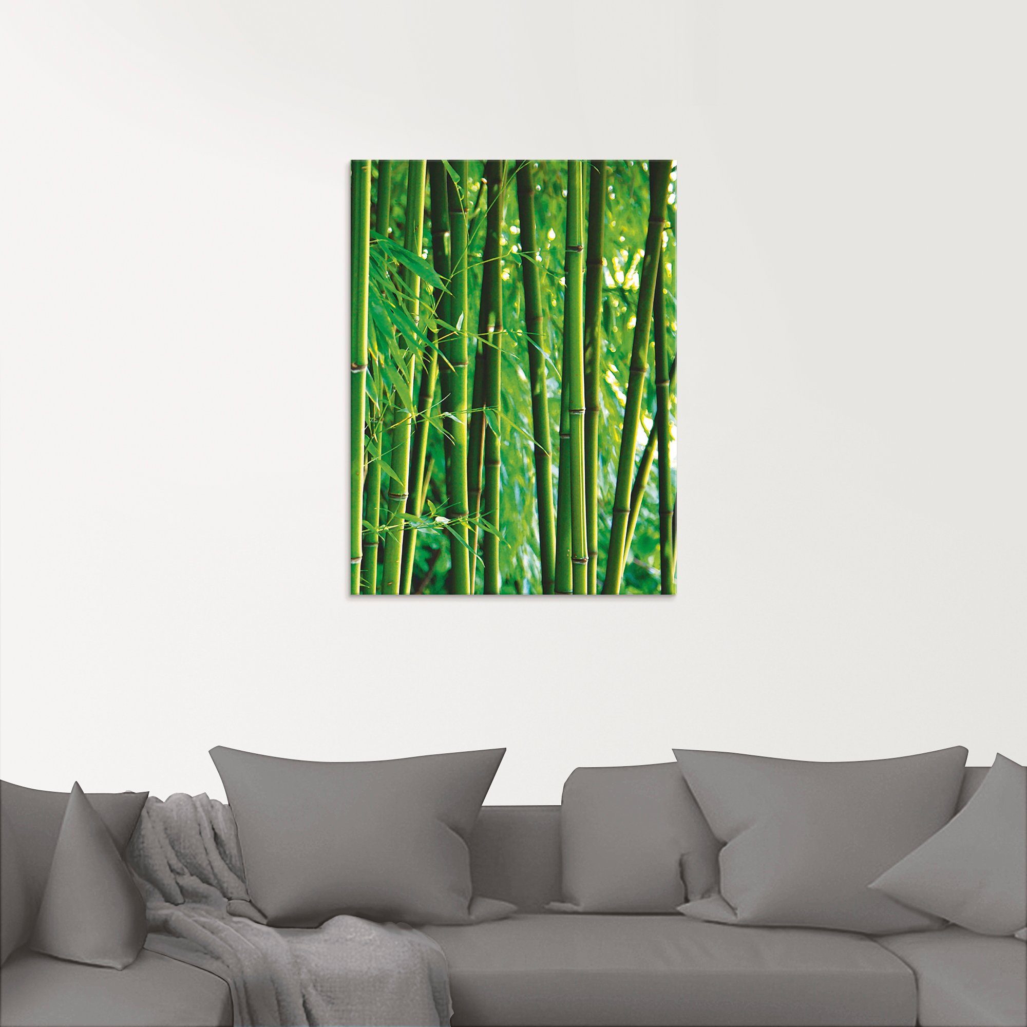 in Größen Gräser Bambus, Glasbild verschiedenen St), (1 Artland