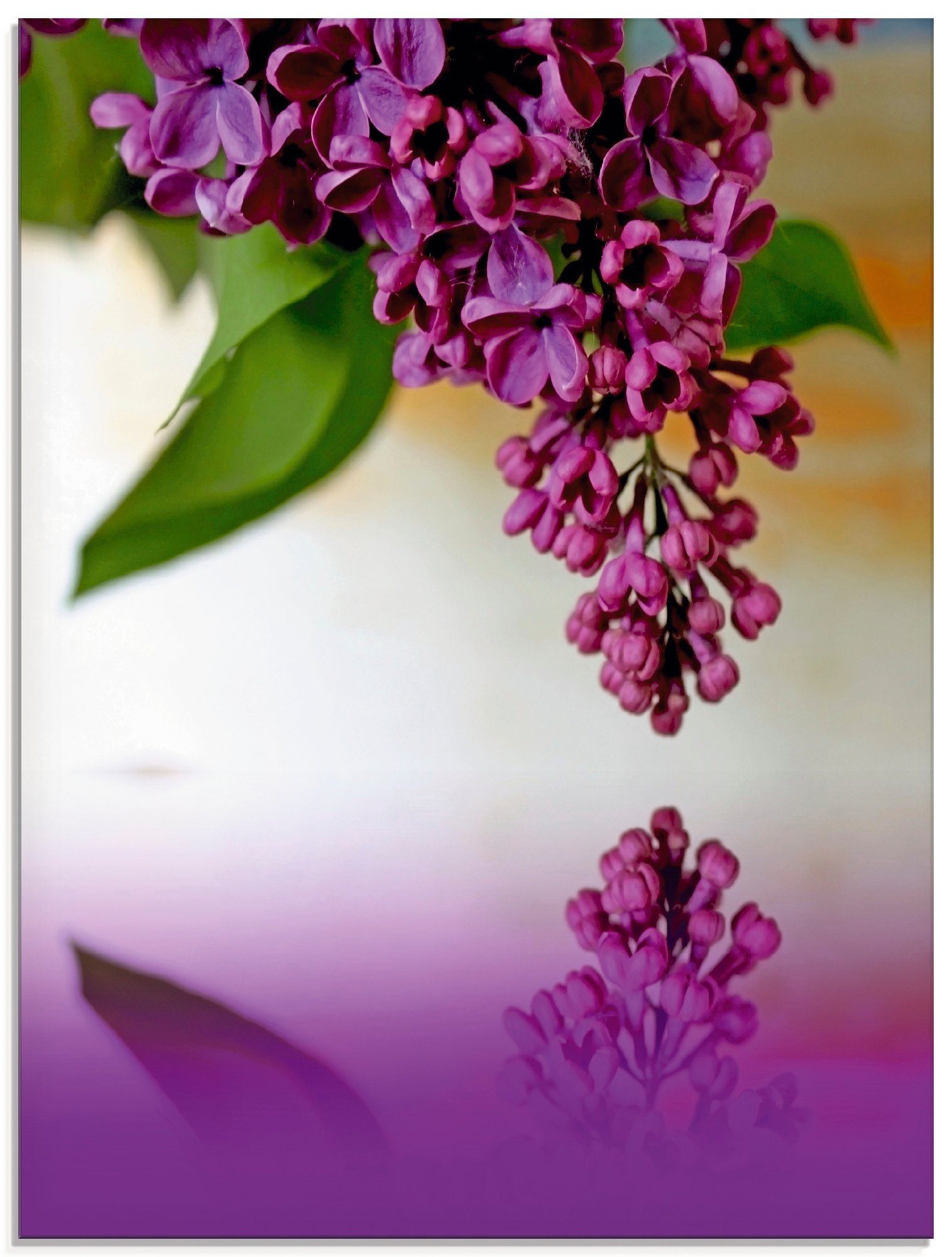 Artland Glasbild »Flieder«, Blumen (1 Stück)-Otto