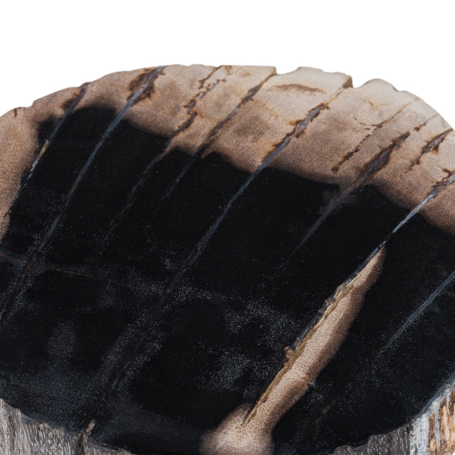 aus poliert, 28602 Seifenschale / fossilem Holz 12x10x5 Dekoschale wohnfreuden Schale S Gr. cm