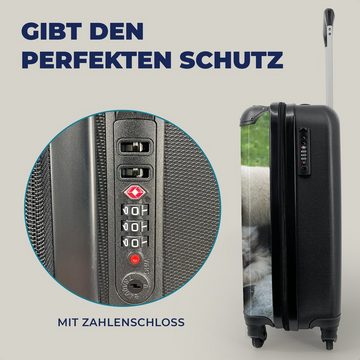 MuchoWow Handgepäckkoffer Pandas - Gras - Stein, 4 Rollen, Reisetasche mit rollen, Handgepäck für Ferien, Trolley, Reisekoffer