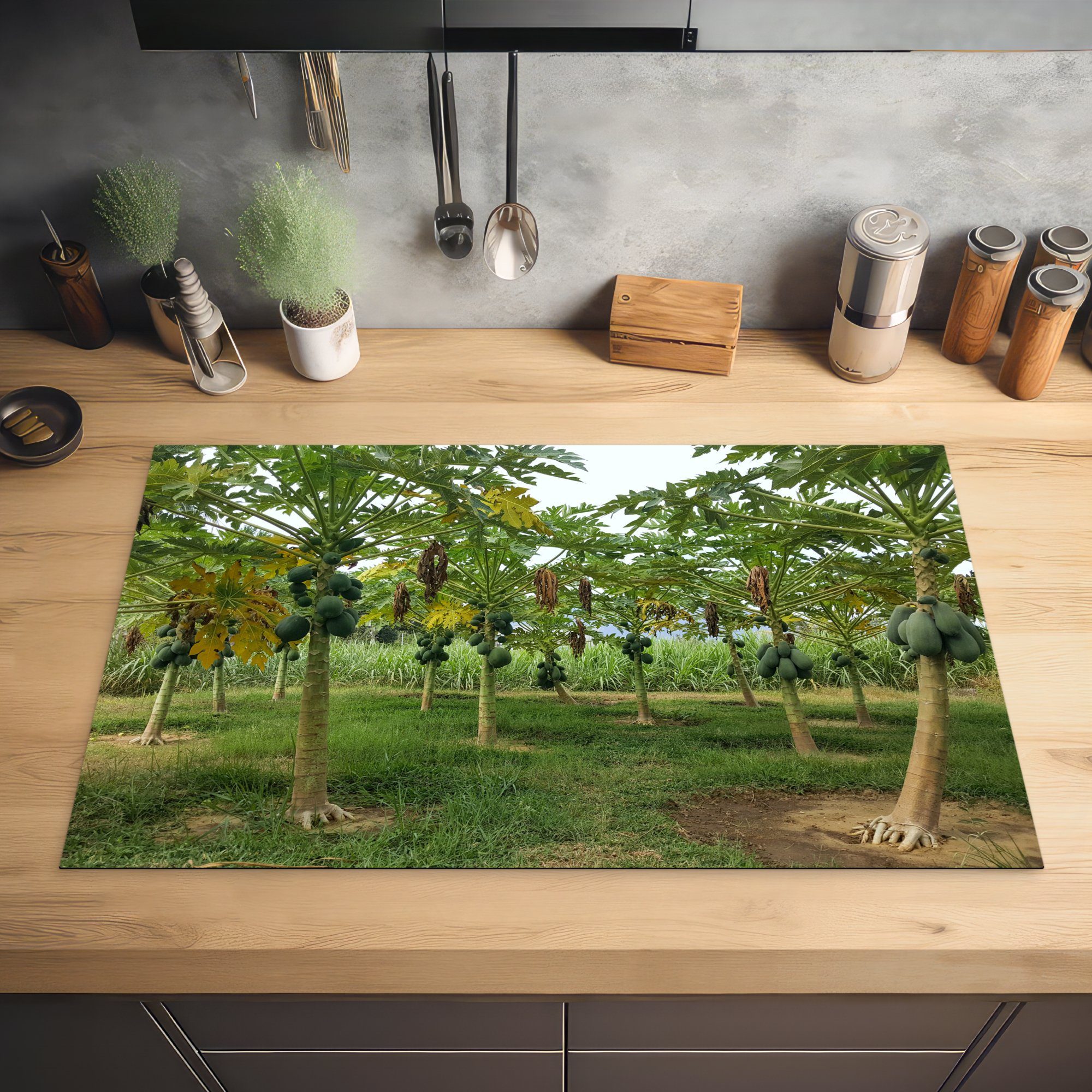 Arbeitsplatte an Reifende für küche Herdblende-/Abdeckplatte Papayas (1 tlg), 83x51 Bäumen Vinyl, Ceranfeldabdeckung, MuchoWow auf cm, einer Plantage, den