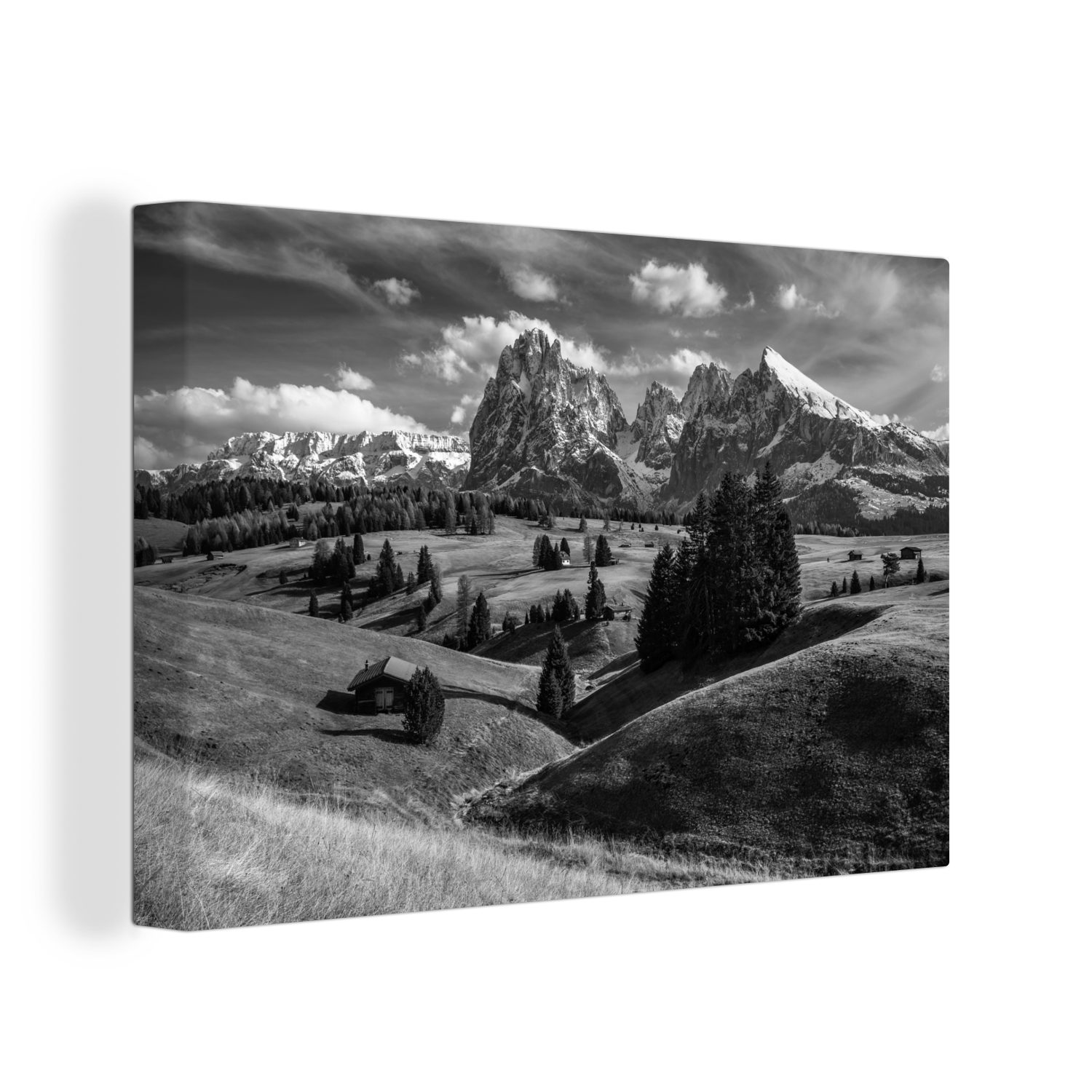 OneMillionCanvasses® Leinwandbild Seiser Alm - Schwarz - Weiß - Gras, (1 St), Wandbild Leinwandbilder, Aufhängefertig, Wanddeko, 30x20 cm