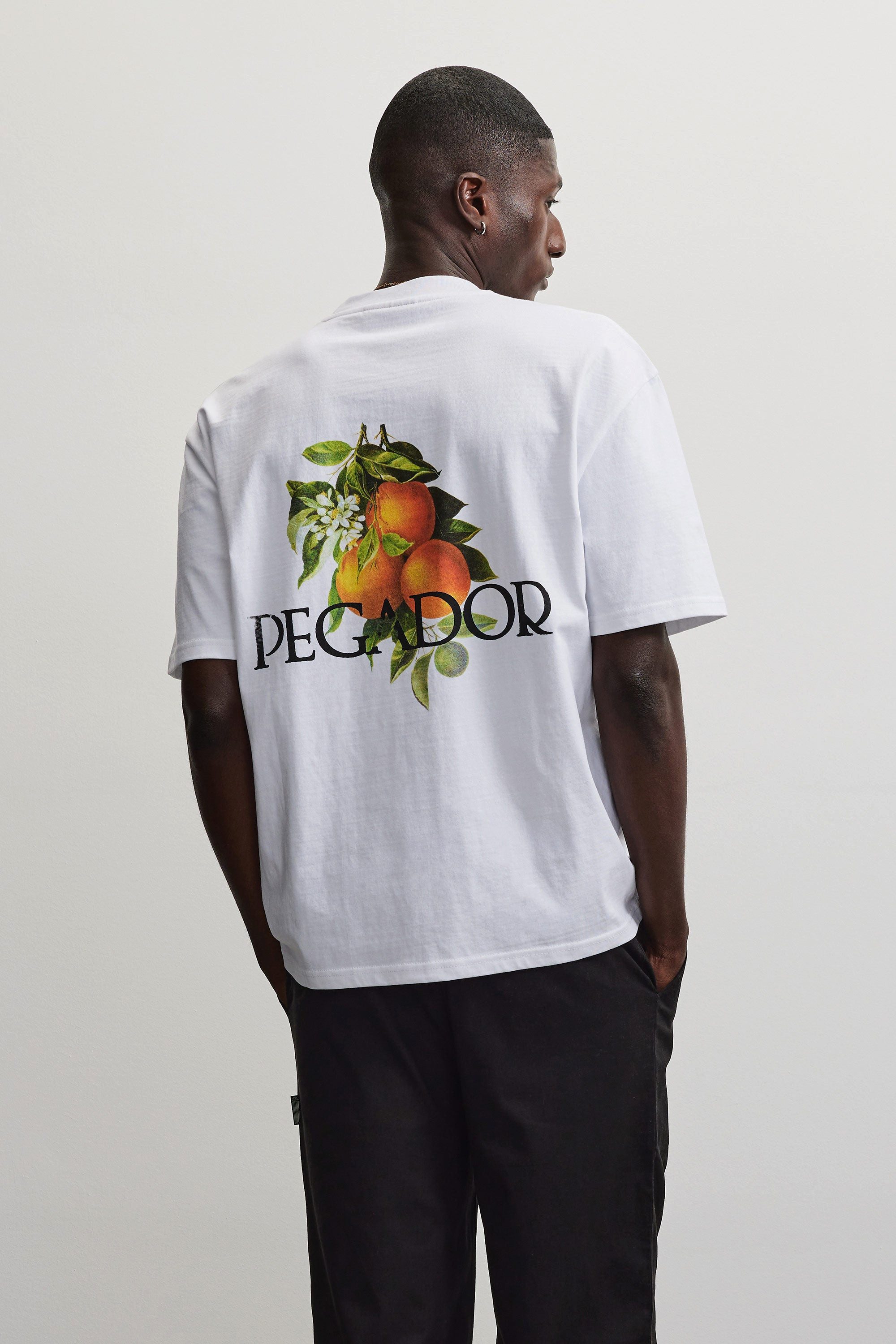 PEGADOR Rundhalsshirt VIBORG OVERSIZED TEE