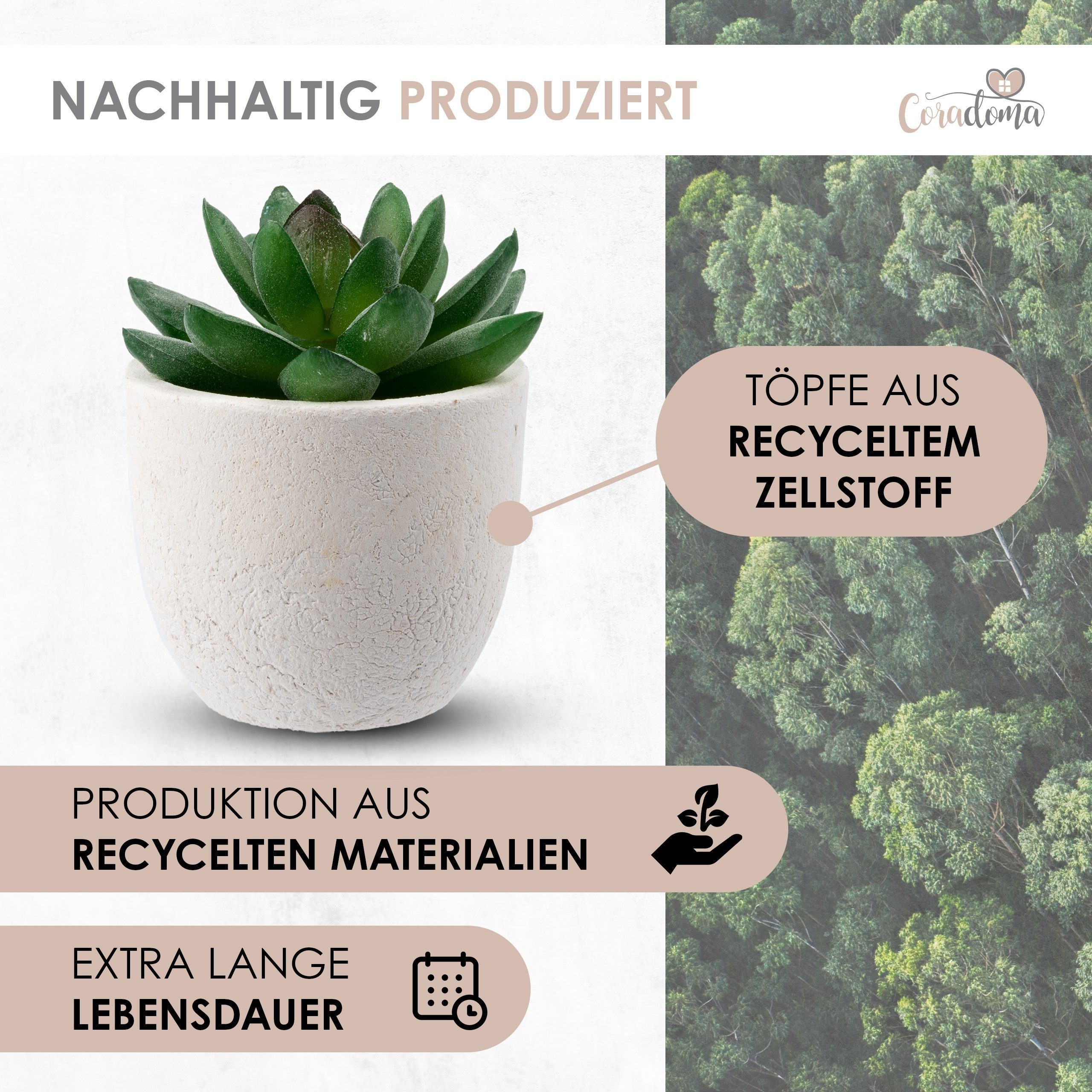 Kunstpflanze Künstliche Pflanzen im Topf Mini Set Dekoration Modern Wohnzimmer Sukkulente, Coradoma – Bild 3 von 5