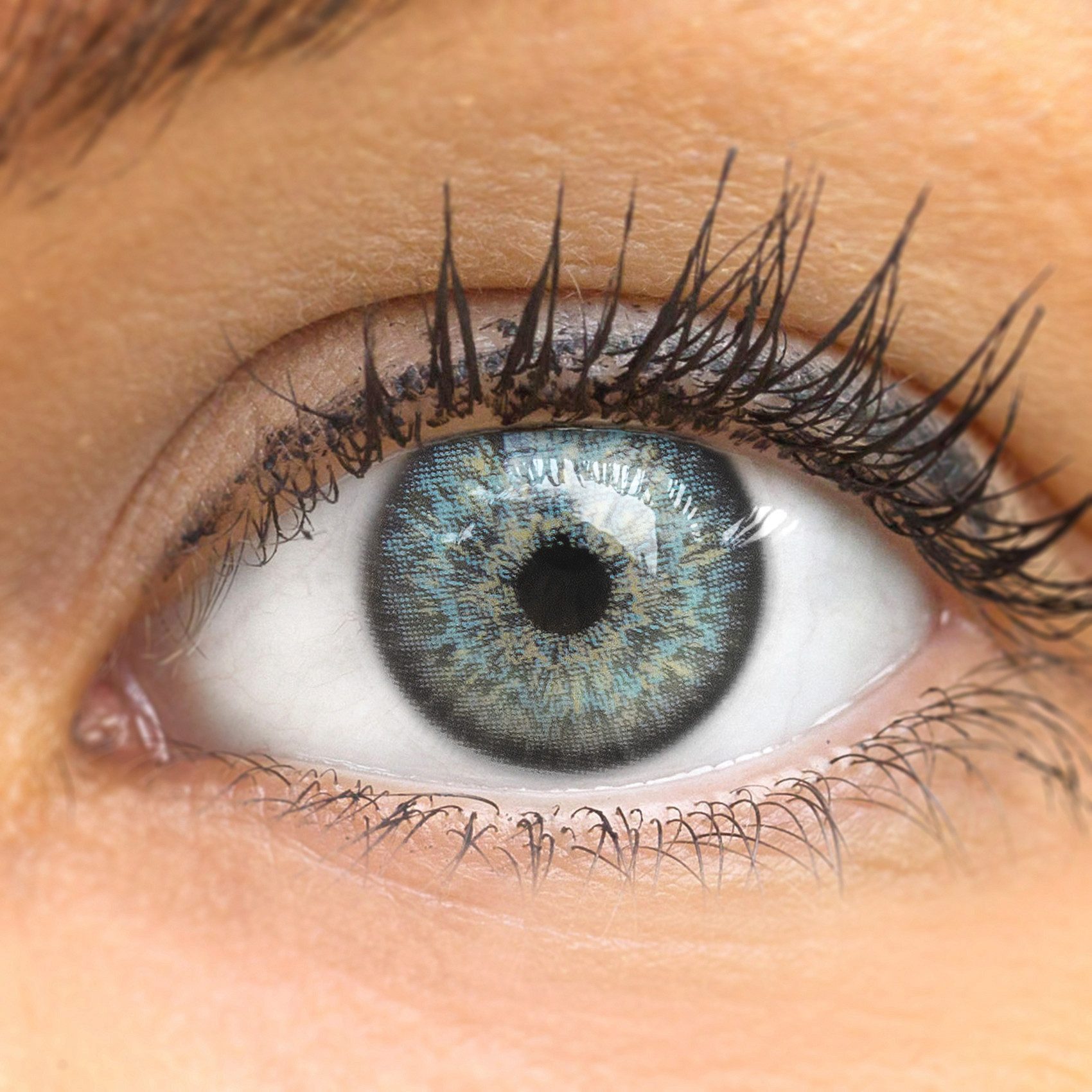 GLAMLENS Monatslinsen Kontaktlinsen graue farbige 'Ibiza Dark Gray' ohne Stärke
