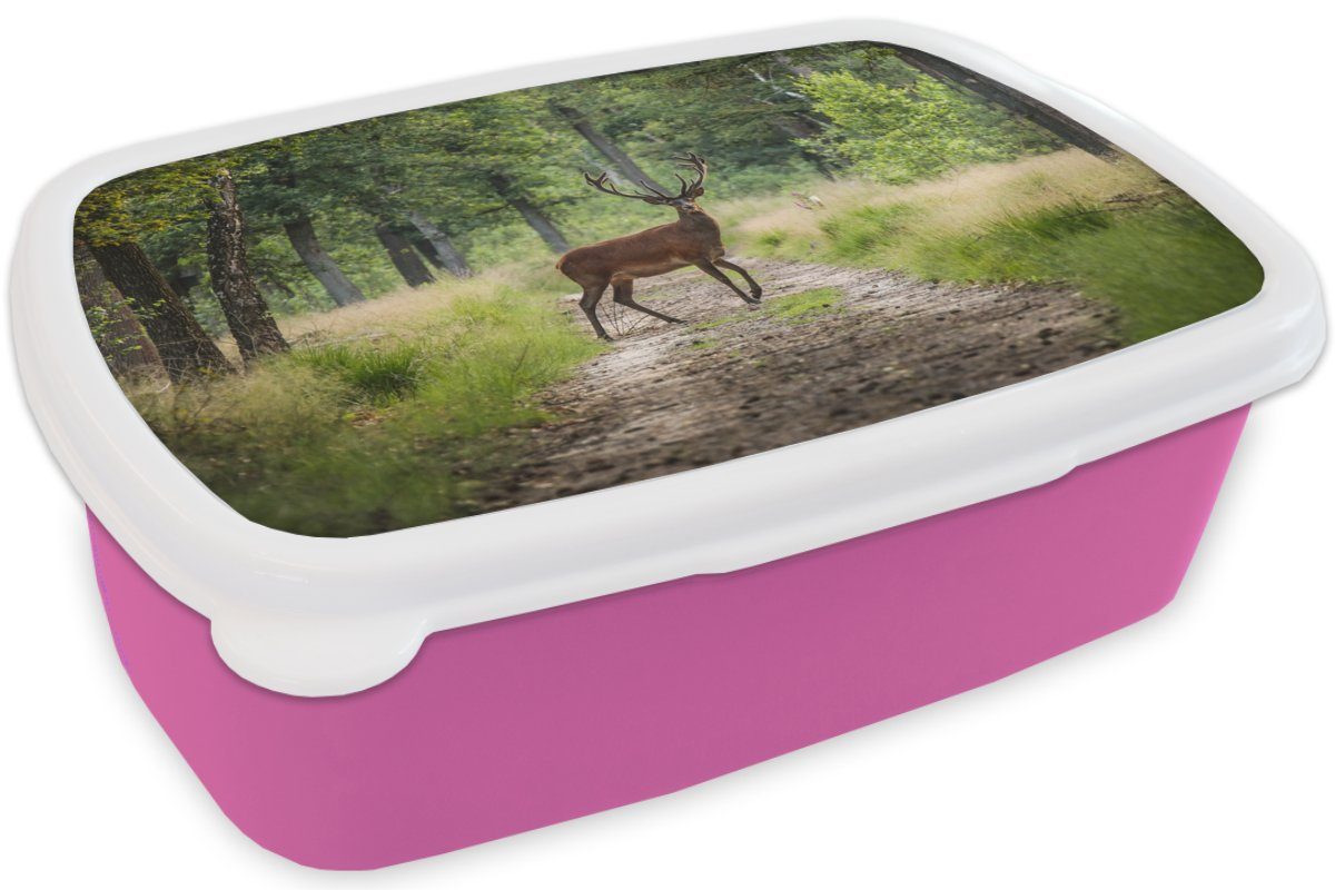 Brotdose Kunststoff, - Bäume, Hirsche rosa Kinder, Brotbox Kunststoff Snackbox, Mädchen, Erwachsene, MuchoWow Wald Lunchbox für (2-tlg), -