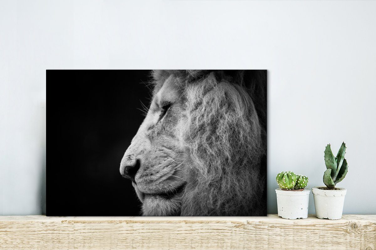 Leinwandbilder, Leinwandbild Aufhängefertig, - 30x20 OneMillionCanvasses® (1 - St), Wanddeko, Porträt, Löwe Wandbild cm Profil