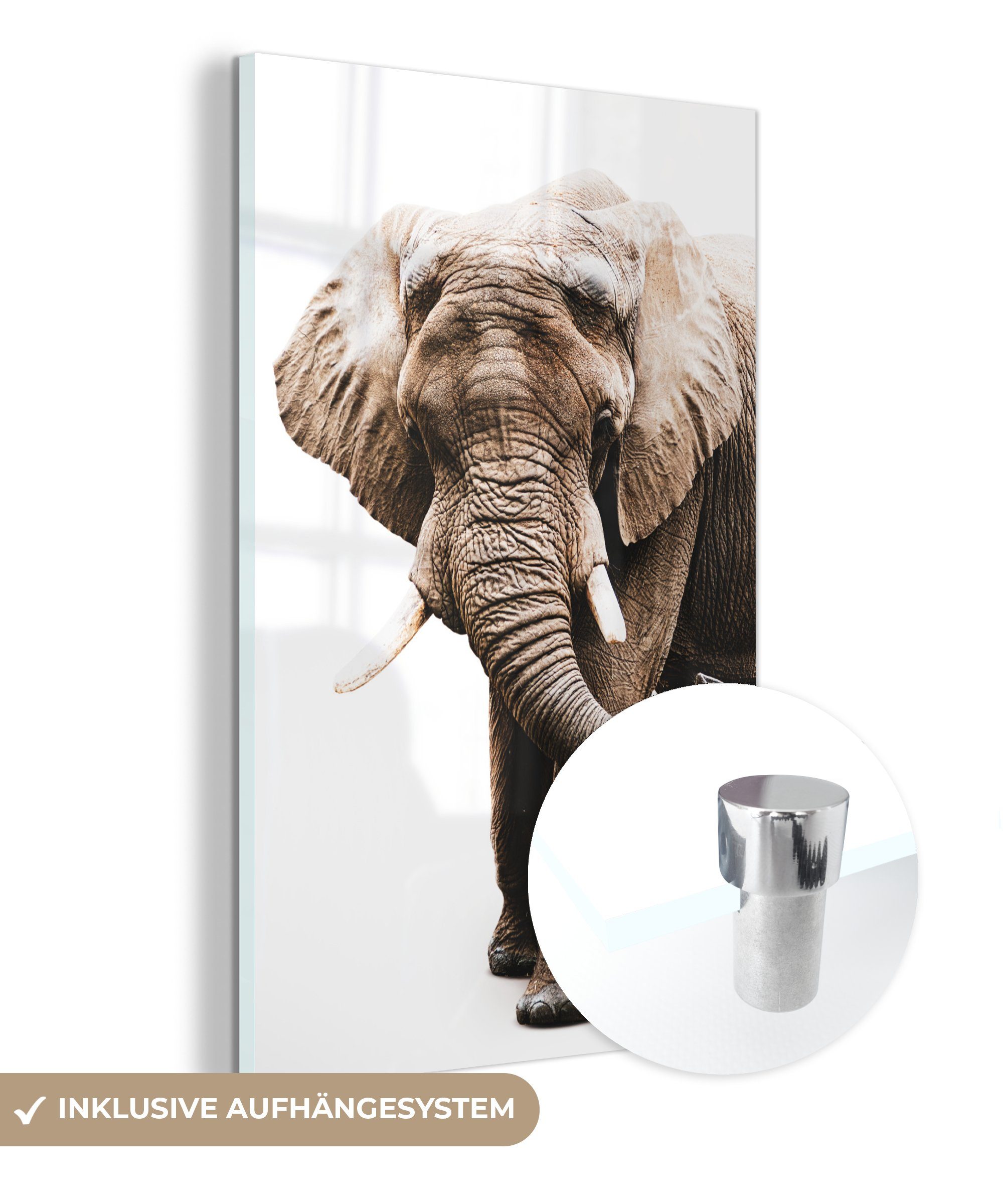 MuchoWow Acrylglasbild Elefant - Weiß - Tiere, (1 St), Glasbilder - Bilder auf Glas Wandbild - Foto auf Glas - Wanddekoration bunt