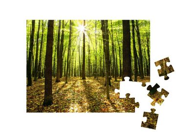 puzzleYOU Puzzle Herbstwald mit Bäumen und Sonnenlicht, 48 Puzzleteile, puzzleYOU-Kollektionen Bäume, Wald & Bäume