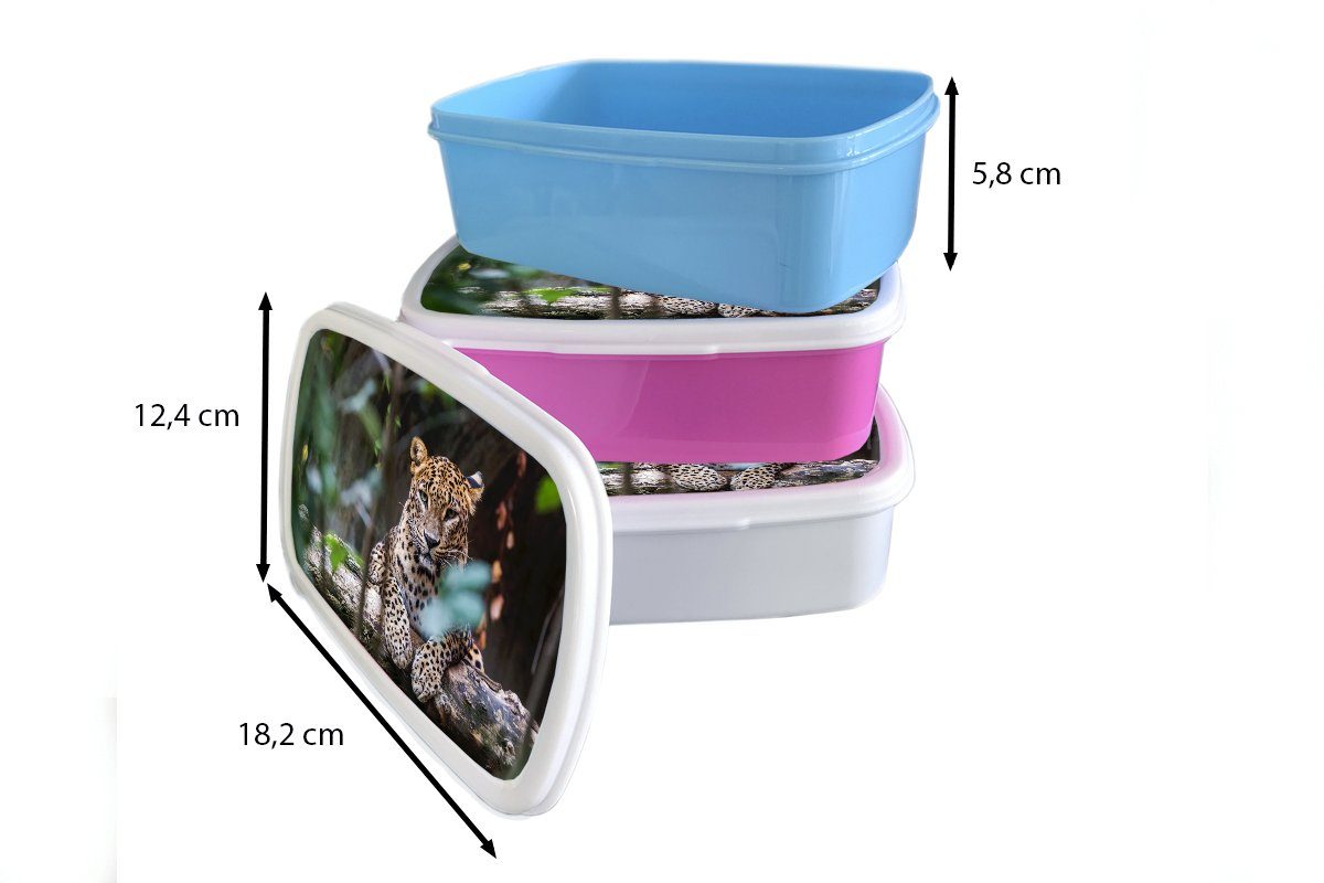 Jungs Panther weiß Kunststoff, Brotdose, - Lunchbox für Brotbox - Tiere, Kinder MuchoWow Dschungel (2-tlg), für und Erwachsene, und Mädchen