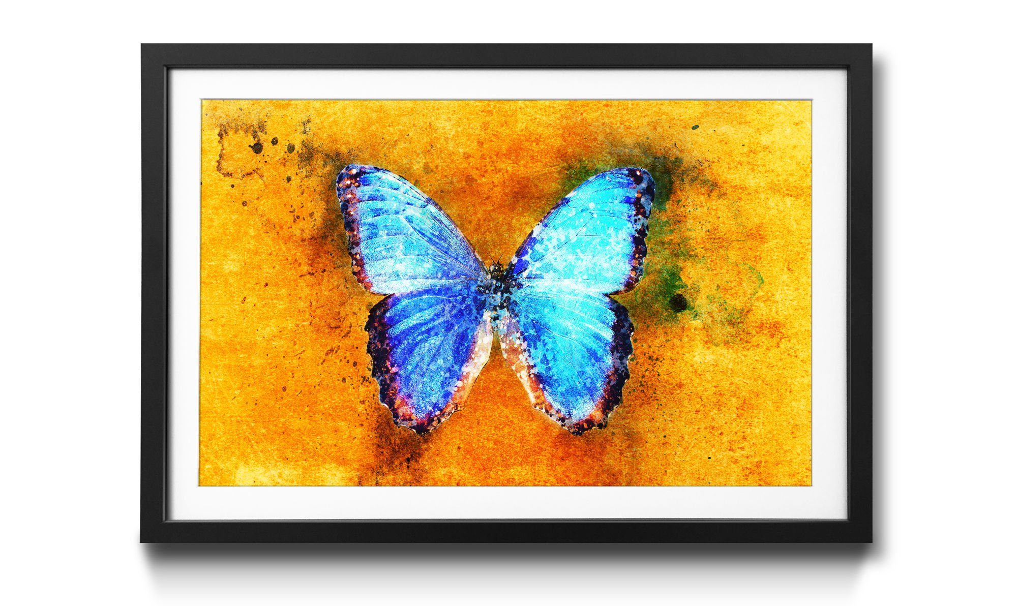 WandbilderXXL Bild erhältlich Schmetterling, Größen Wandbild, 4 mit Morpho, in Rahmen Common