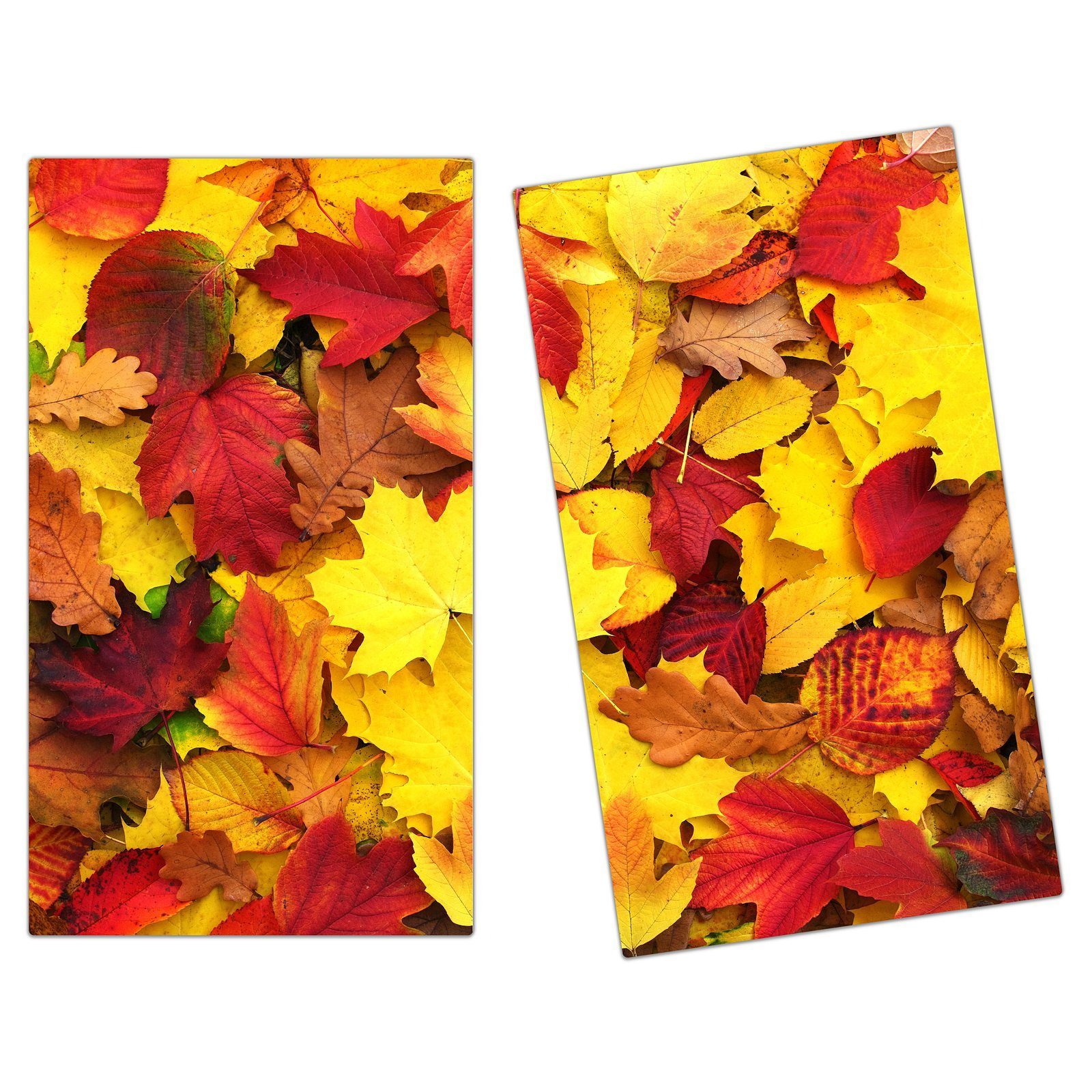 Primedeco aus Spritzschutz tlg) Herdabdeckplatte Herbstblätter, (2 Glas, Glas Gefallene Herd-Abdeckplatte