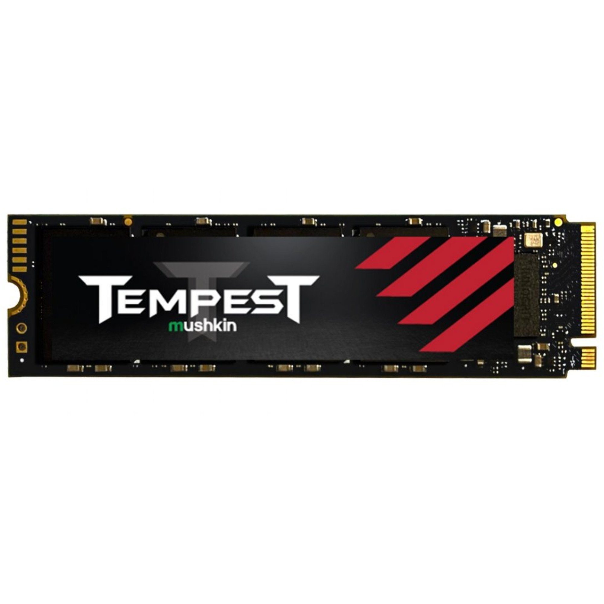 Mushkin Tempest 1 TB SSD-Festplatte (1 TB) Steckkarte"