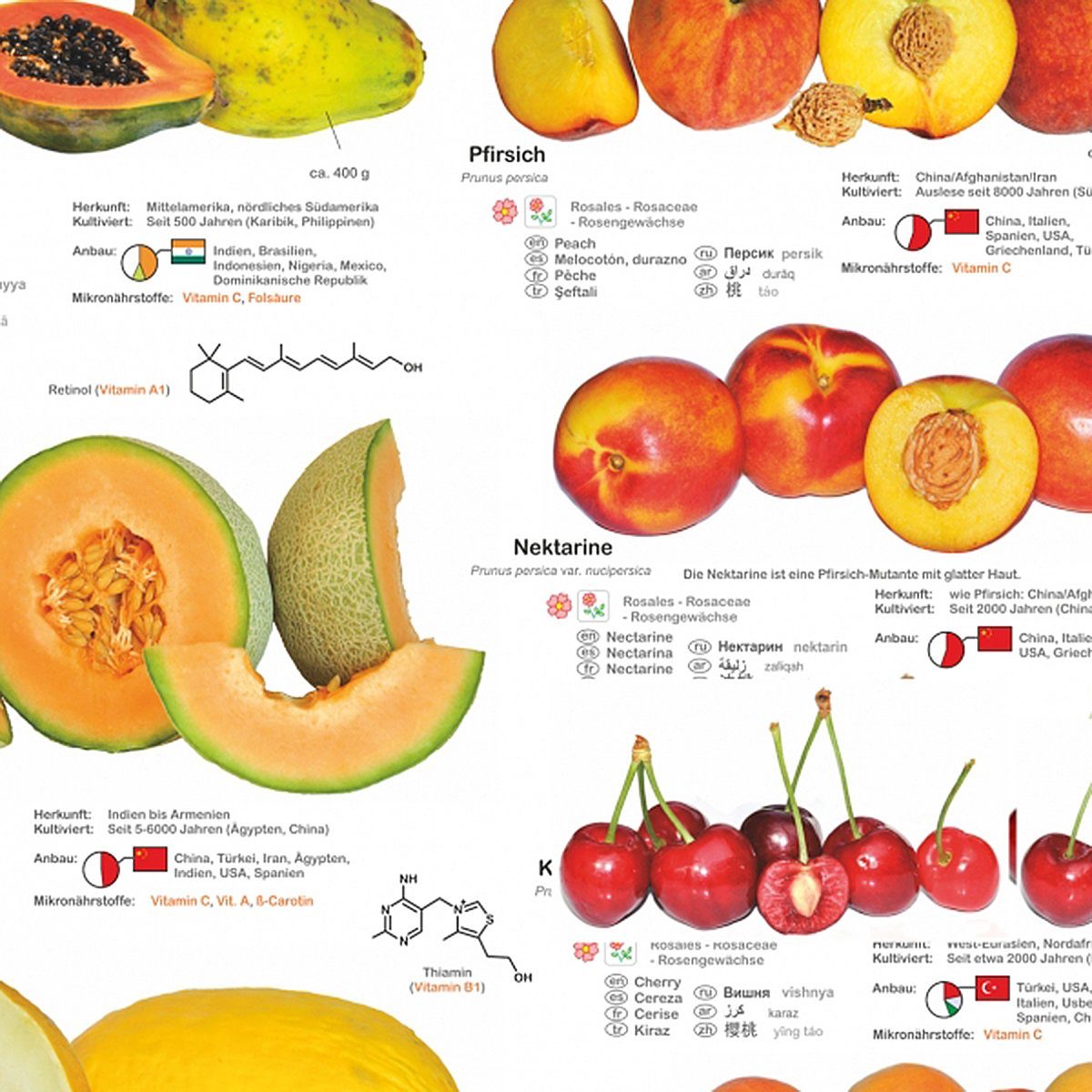 Close Up Poster Obst und Nüsse günstig online kaufen