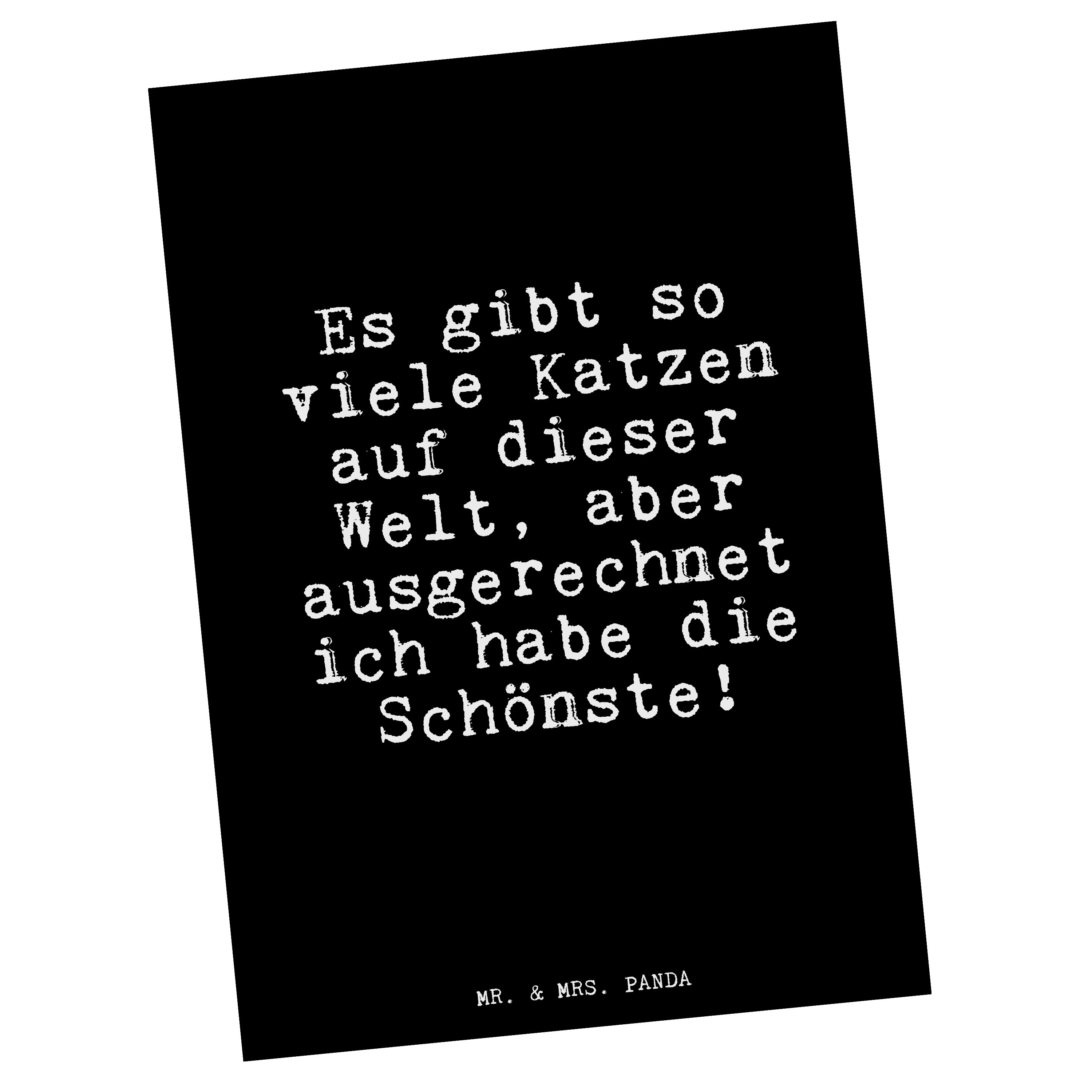 Mr. & Mrs. Panda Postkarte »Es gibt so viele... Schwarz Sprüche