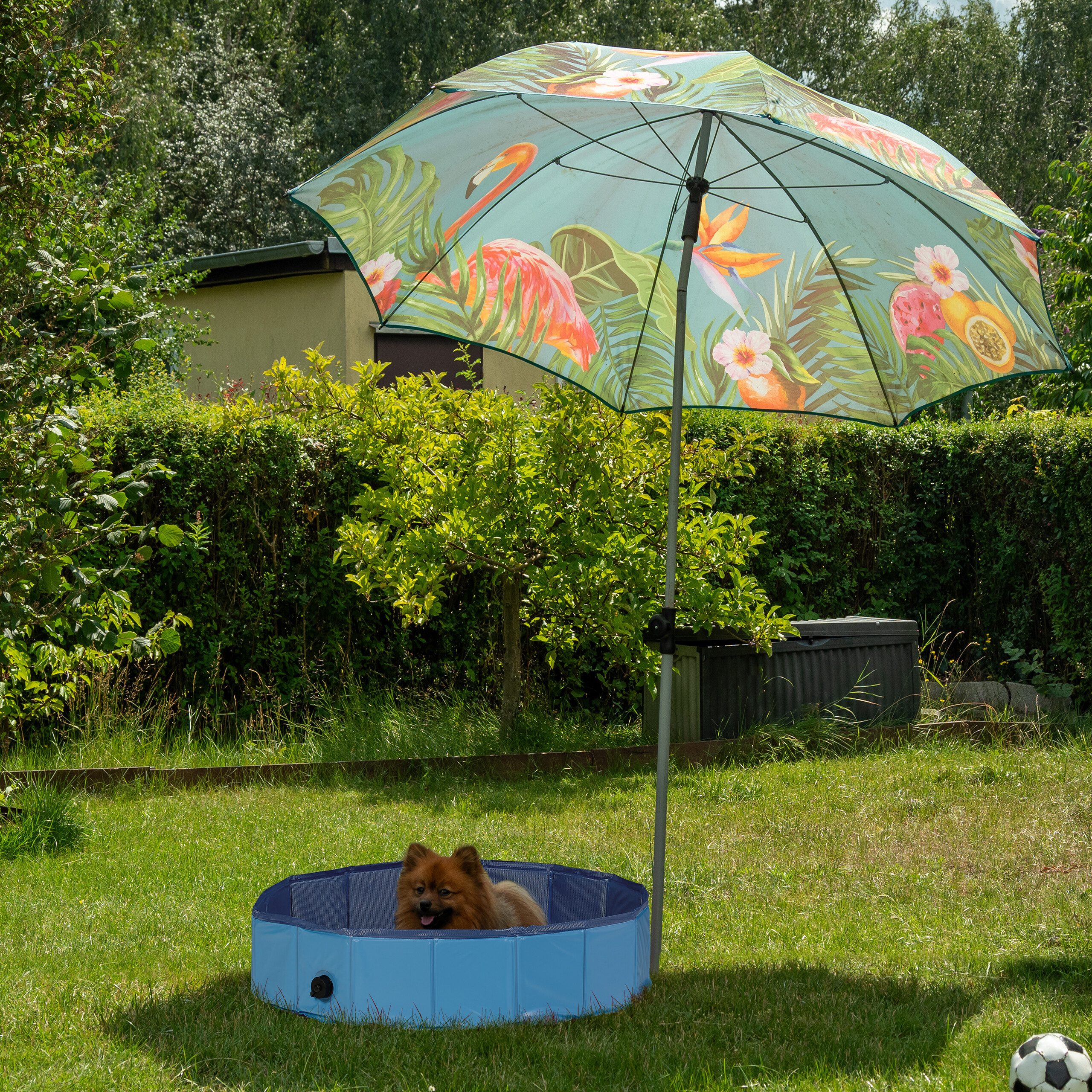 relaxdays Hundepool Blauer Hundepool, (1-tlg), M