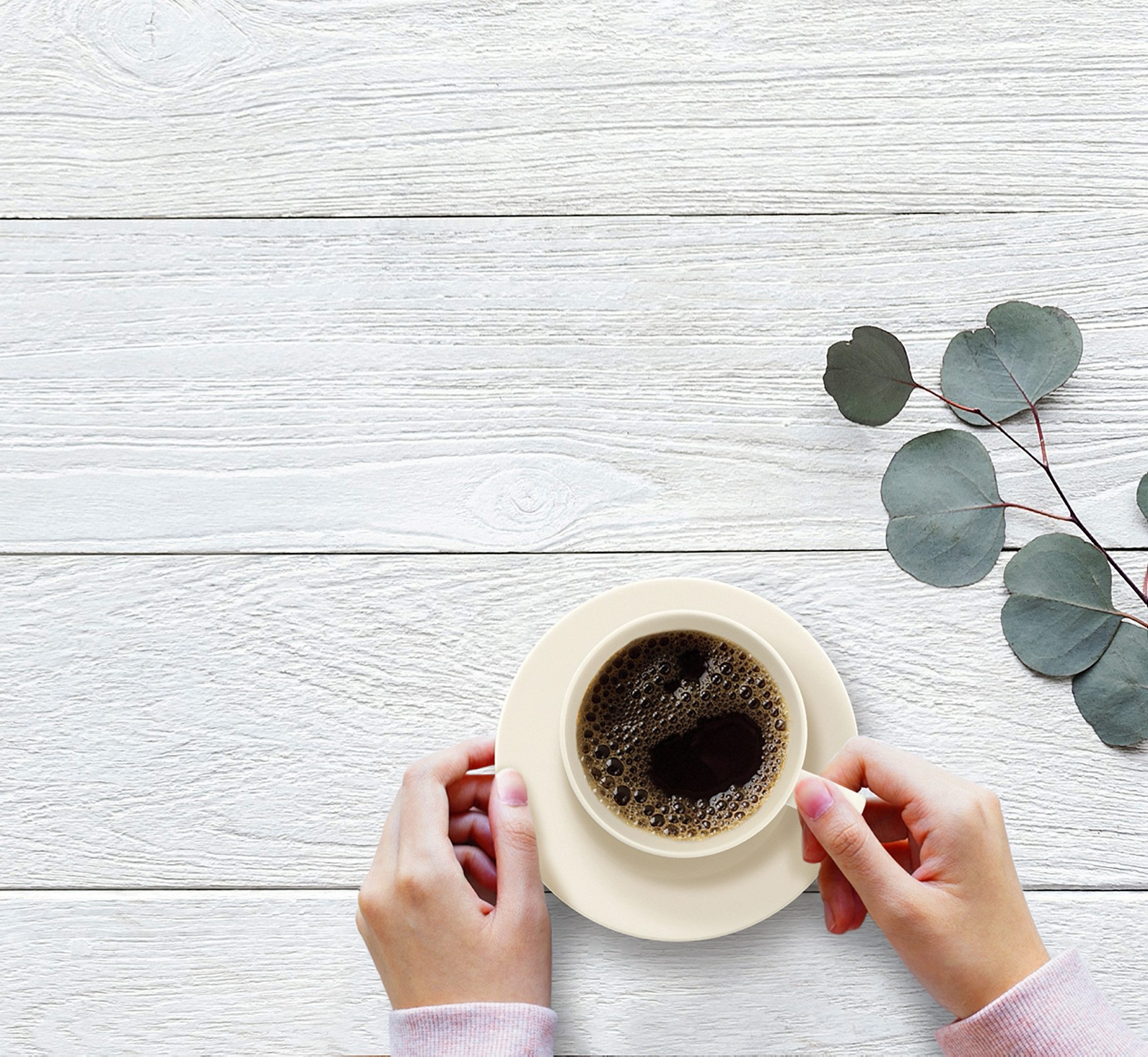 Seltmann Weiden Kaffeeservice Geschirr-Set, Service Zoè (18-tlg), 6 Personen, Porzellan, Tassen, Teller, Untertassen, Made in Germany, 18 Teile, für 6 Personen