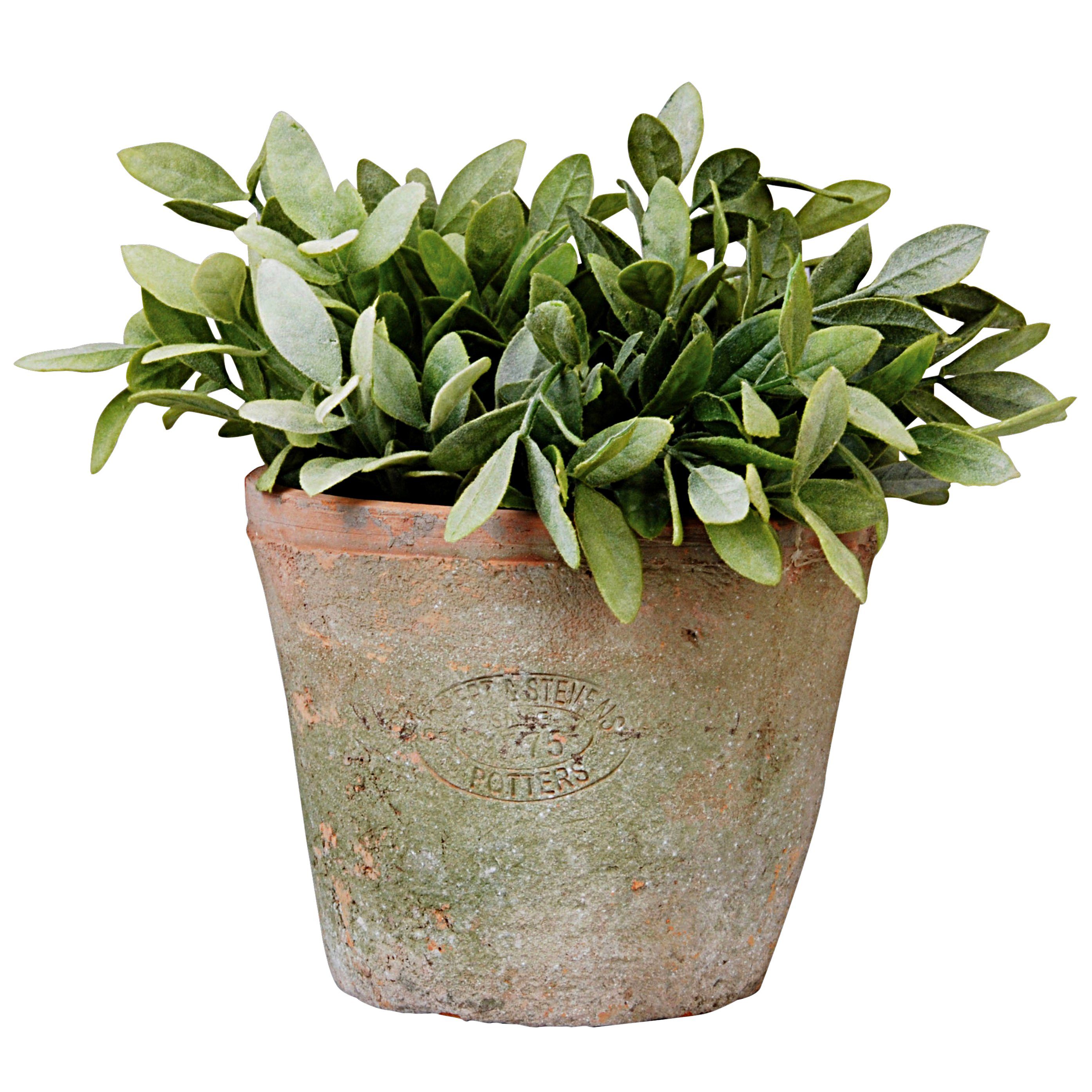 Übertopf 12 cm hoch Aged Terracotta Blumentopf Übertopf Umtopf rund Pflanzen