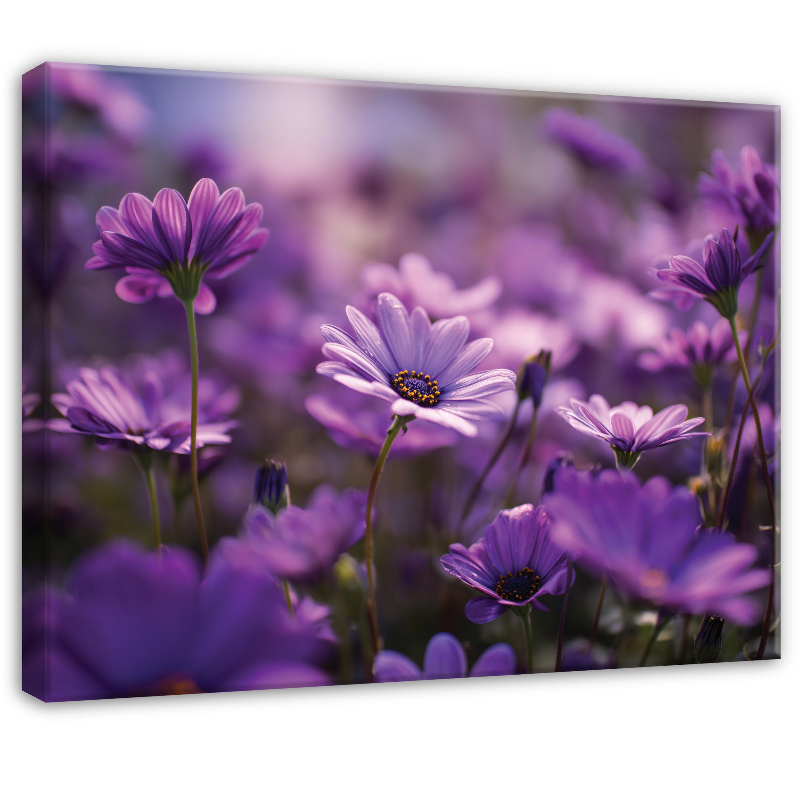 Wallarena Leinwandbild Blumen Wiese - Lila - Elegant - Schlafzimmer, Blumen, 40x30x2cm
