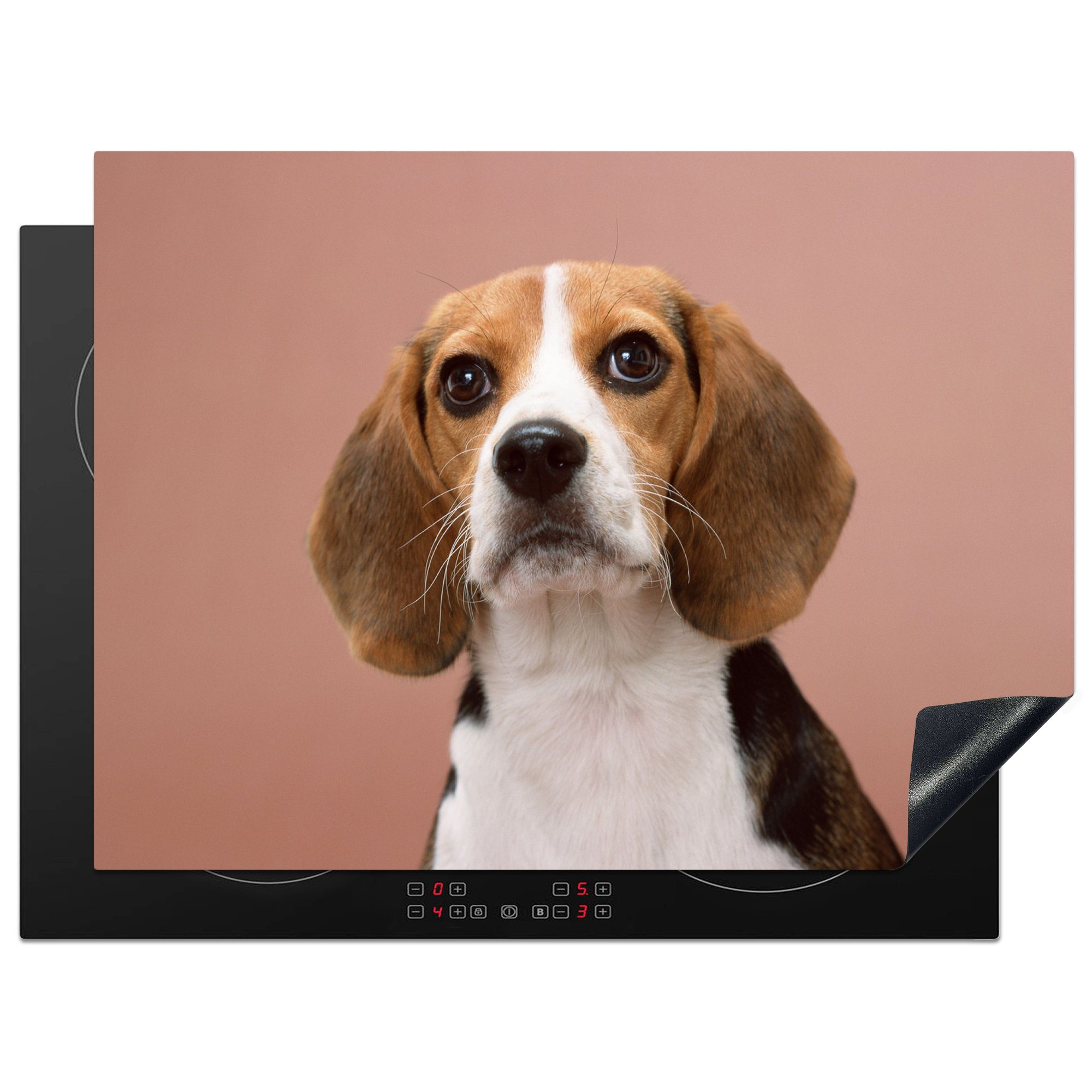 MuchoWow Herdblende-/Abdeckplatte Ein süßer Beagle schaut in die Kamera, Vinyl, (1 tlg), 70x52 cm, Mobile Arbeitsfläche nutzbar, Ceranfeldabdeckung