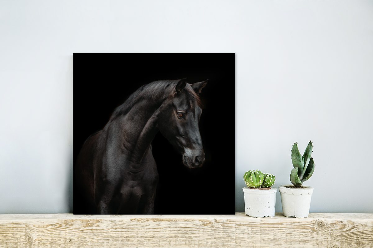 MuchoWow Metallbild Pferd Tiere Aluminium Porträt, (1 Metall, Alu-Dibond-Druck, Schwarz aus - - Gemälde St), deko 