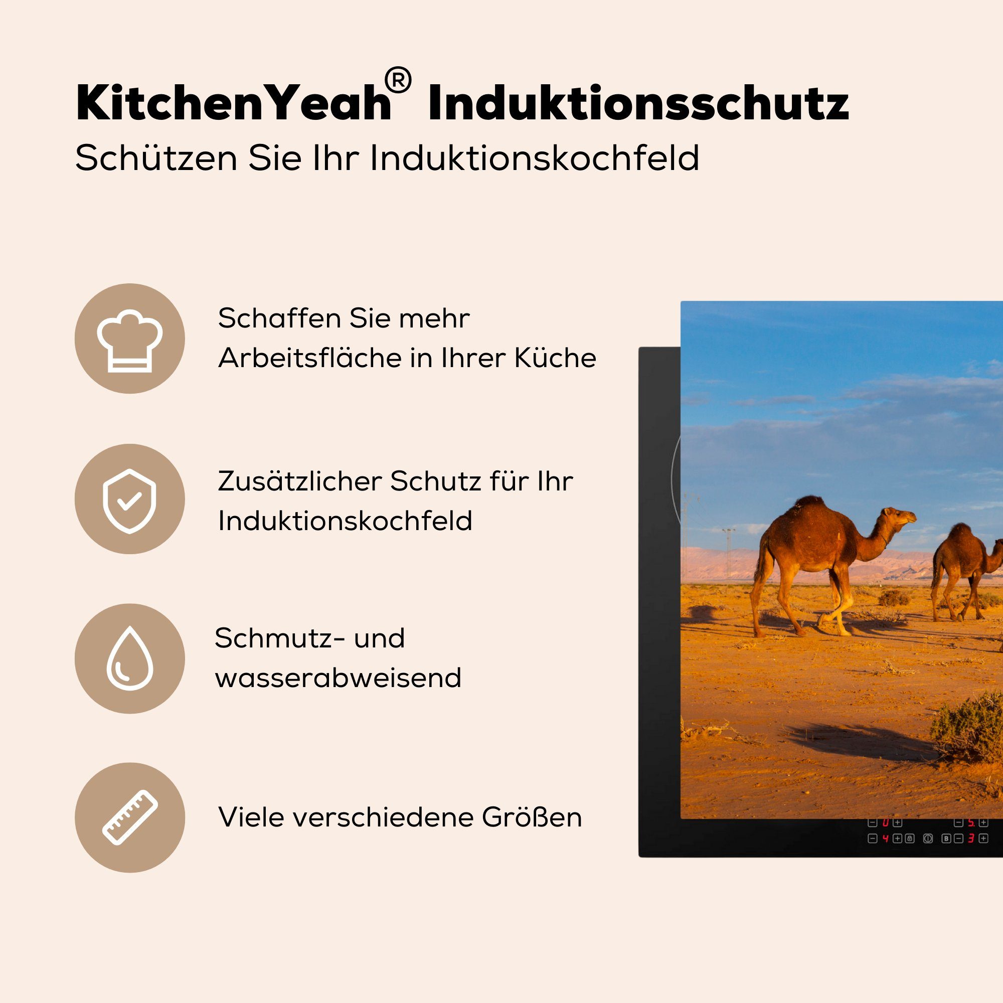 MuchoWow Herdblende-/Abdeckplatte für Ceranfeldabdeckung, küche der Dromedarkamele afrikanischen tlg), Wüste, (1 in Arbeitsplatte Vinyl, cm, 83x51