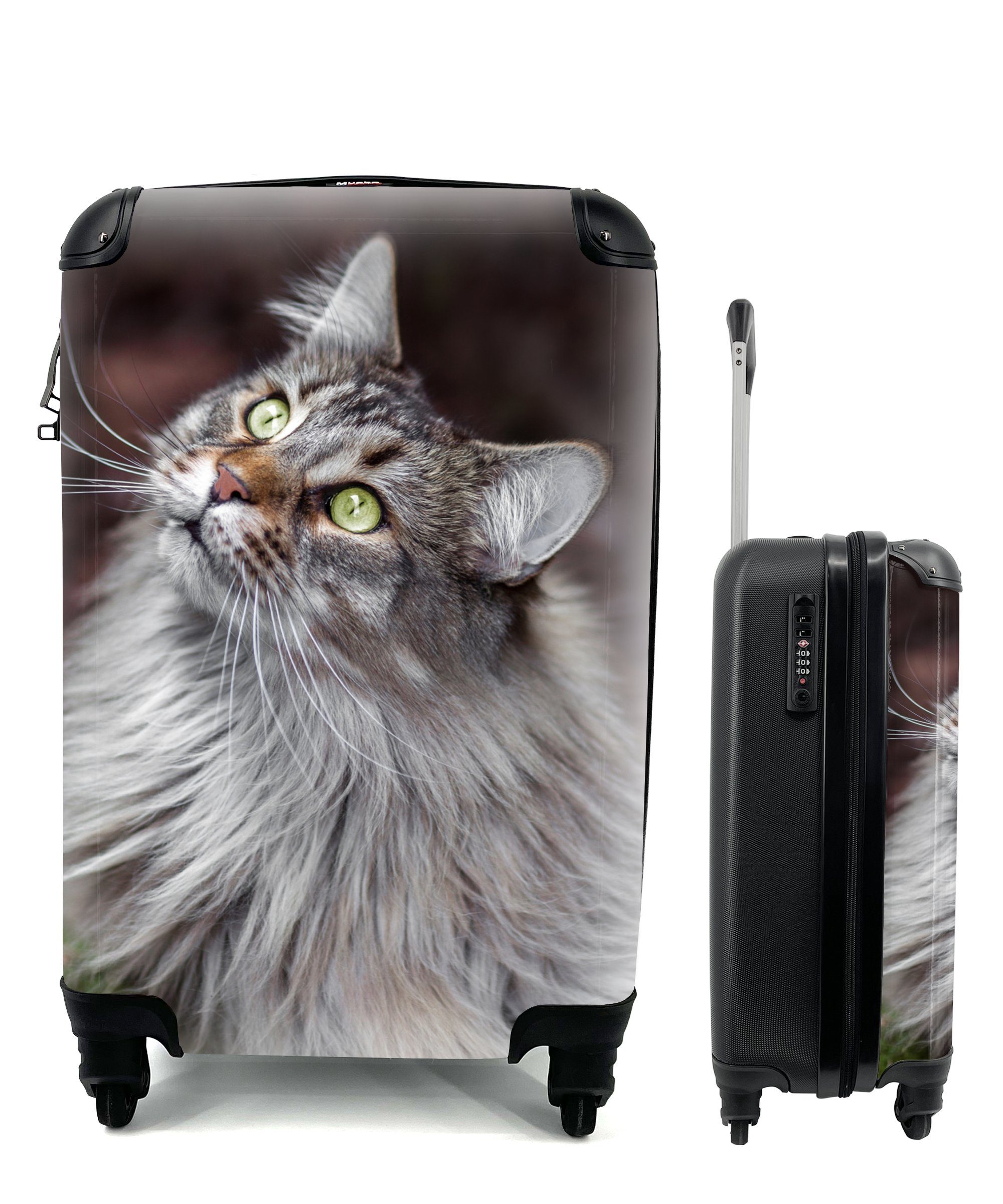 MuchoWow Handgepäckkoffer Eine graue Maine Coon Katze, 4 Rollen, Reisetasche mit rollen, Handgepäck für Ferien, Trolley, Reisekoffer