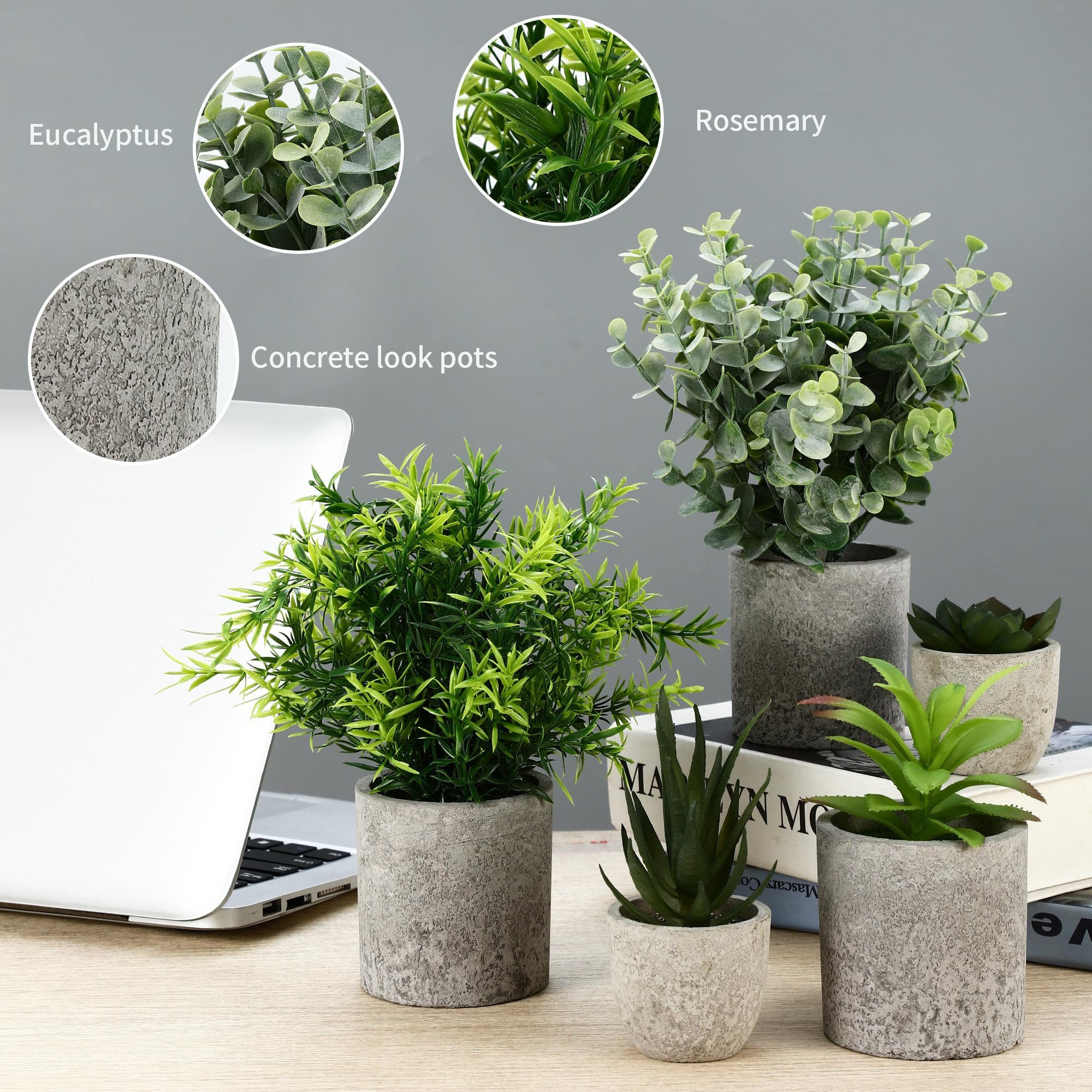 Kunstpflanze 5er-Set Mini Kunstpflanzen Künstliche Pflanzen Kunstpflanzen Büro Deko Deko Wohnzimmer, Künstliche Pflanzen, Zimmerpflanzen, Schlafzimmer Deko, Bür – Bild 5 von 5