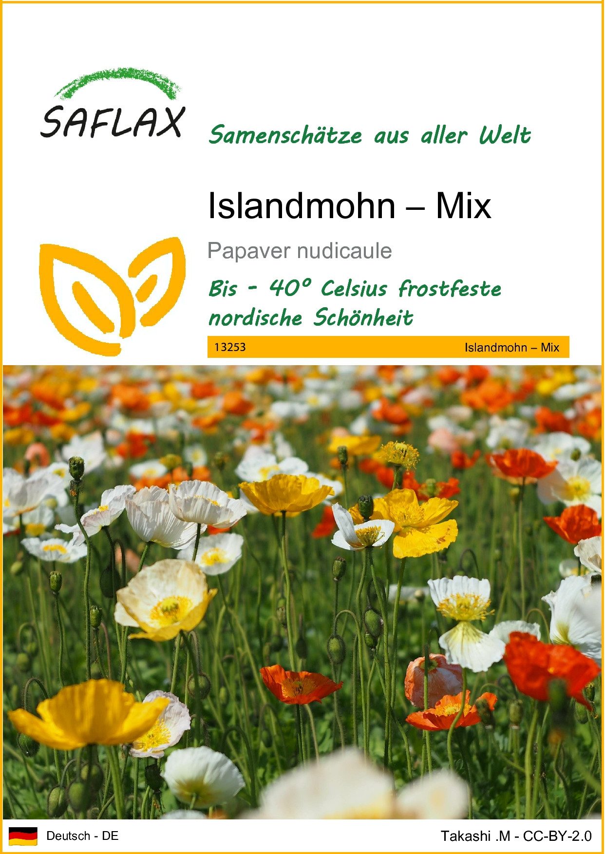 Blumensamen SAFLAX - Samen - Islandmohn – Mix