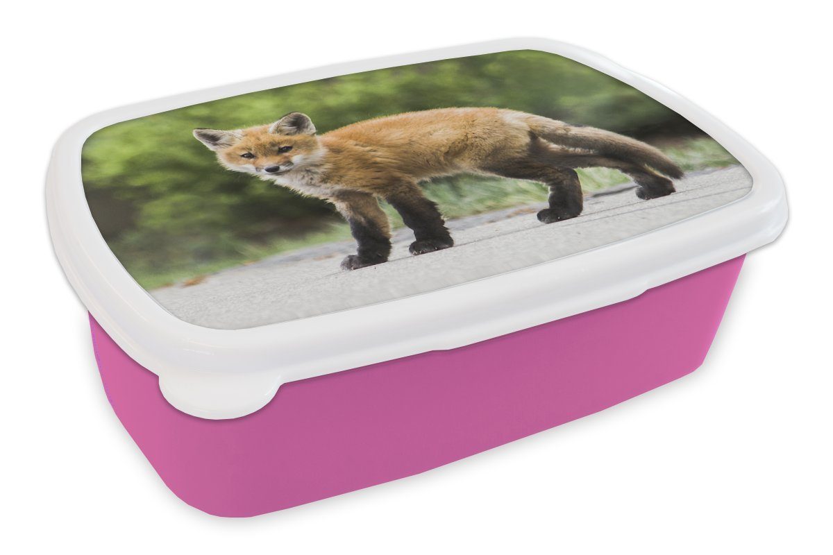 MuchoWow Lunchbox Fuchs - Kunststoff Mädchen, Erwachsene, Kunststoff, Kinder, Snackbox, (2-tlg), Brotbox rosa für Brotdose Straße, Welpe 