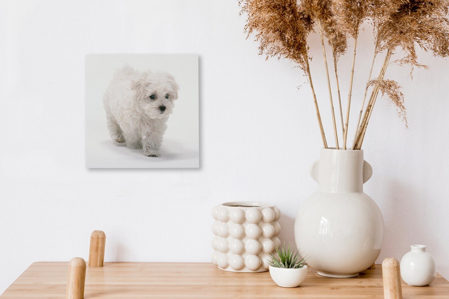 OneMillionCanvasses® Leinwandbild für Malteserhund, St), (1 kleiner Wohnzimmer Niedlicher Schlafzimmer Bilder Leinwand