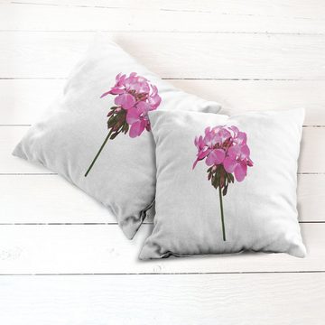 Kissenbezüge Modern Accent Doppelseitiger Digitaldruck, Abakuhaus (2 Stück), Pelargonien Close up Foto von Blumen