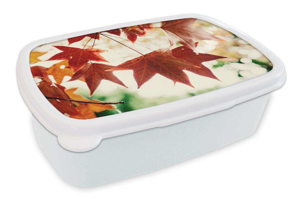 MuchoWow Lunchbox Herbstblätter - November - Natur - Bäume, Kunststoff, (2-tlg), Brotbox für Kinder und Erwachsene, Brotdose, für Jungs und Mädchen weiß