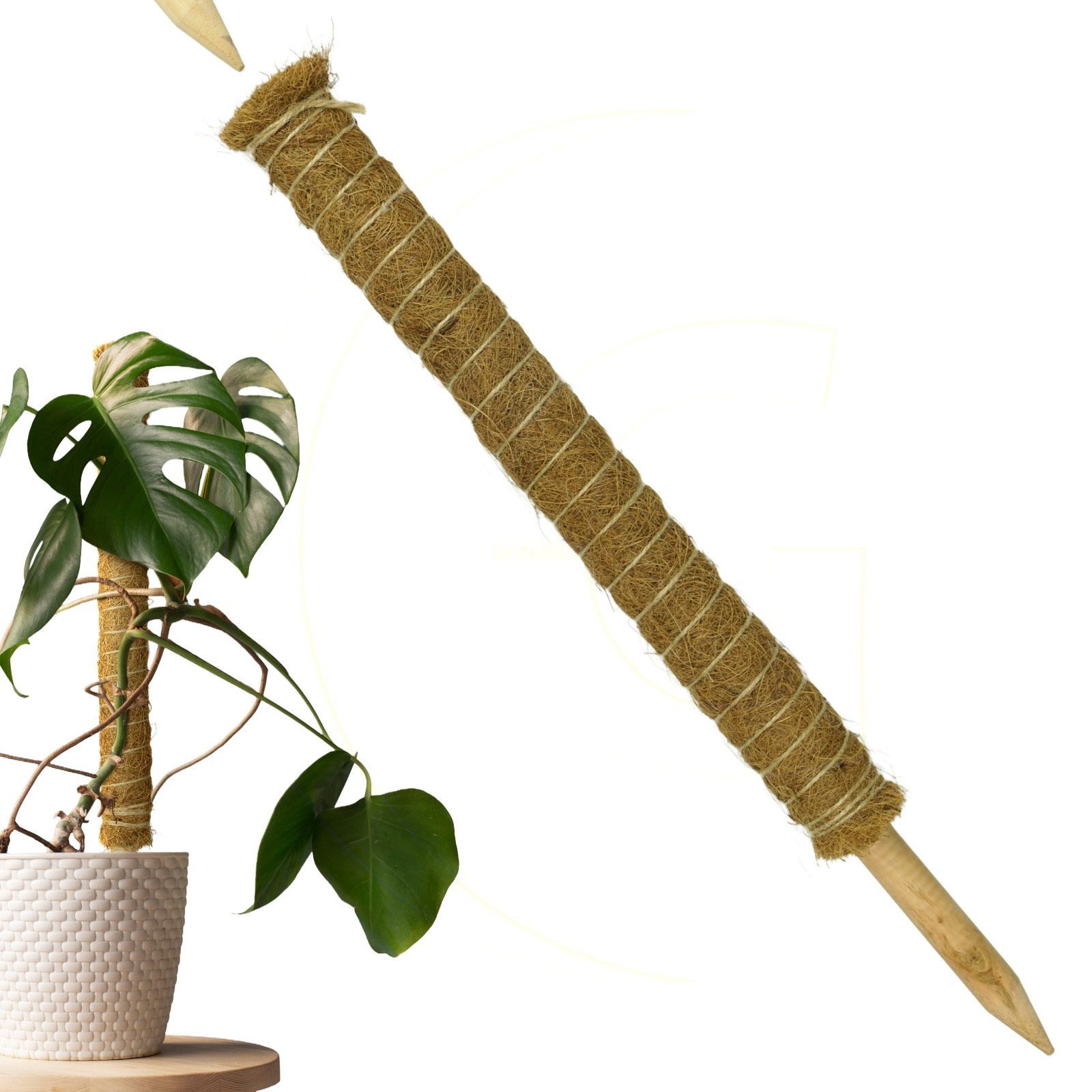 Gravidus Rankhilfe Erweiterbare Pflanzenstütze mit Kokosfilz – Rankhilfe 60 cm, 1 St.