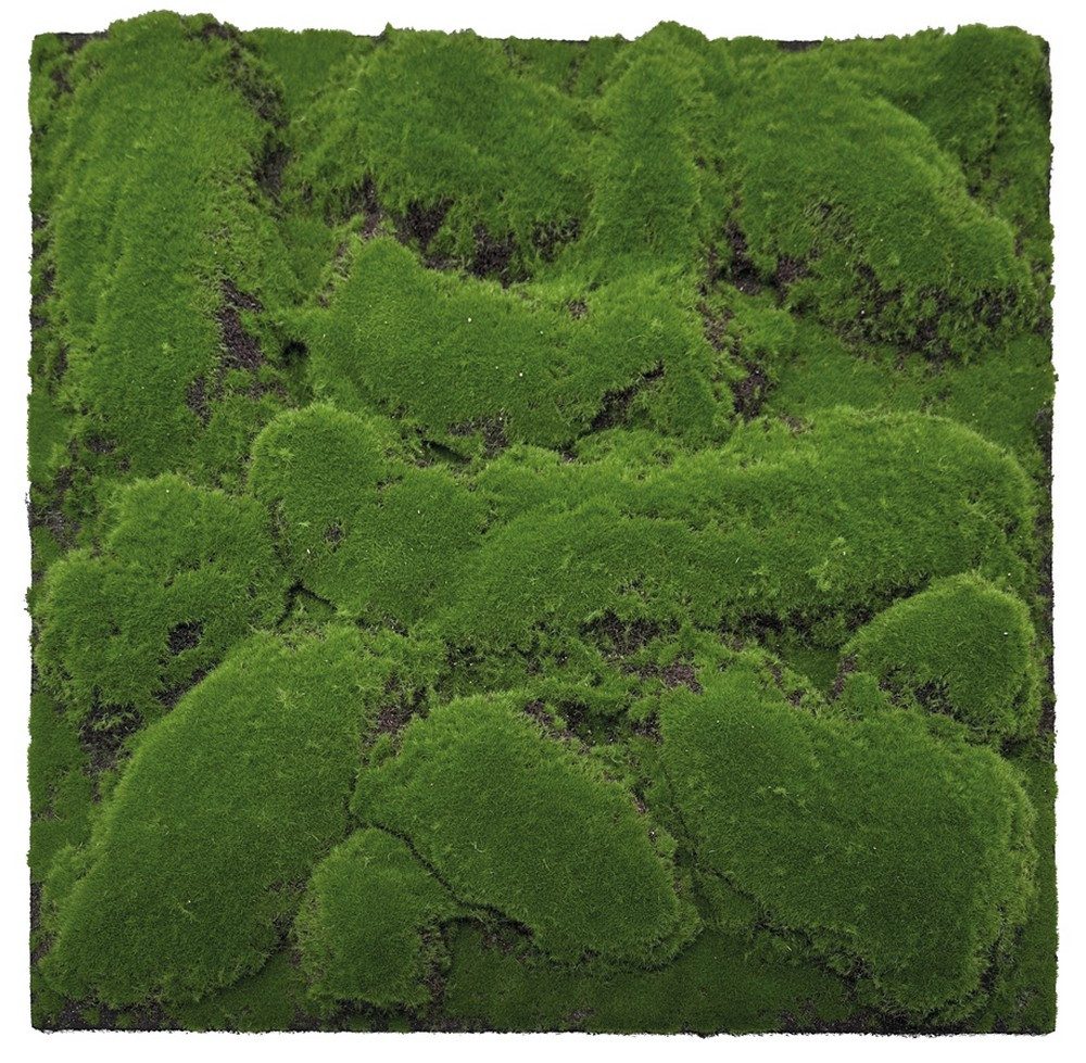 JANGAL 3D Wandpaneel Modular Wall Akustikpaneel, günstig online kaufen