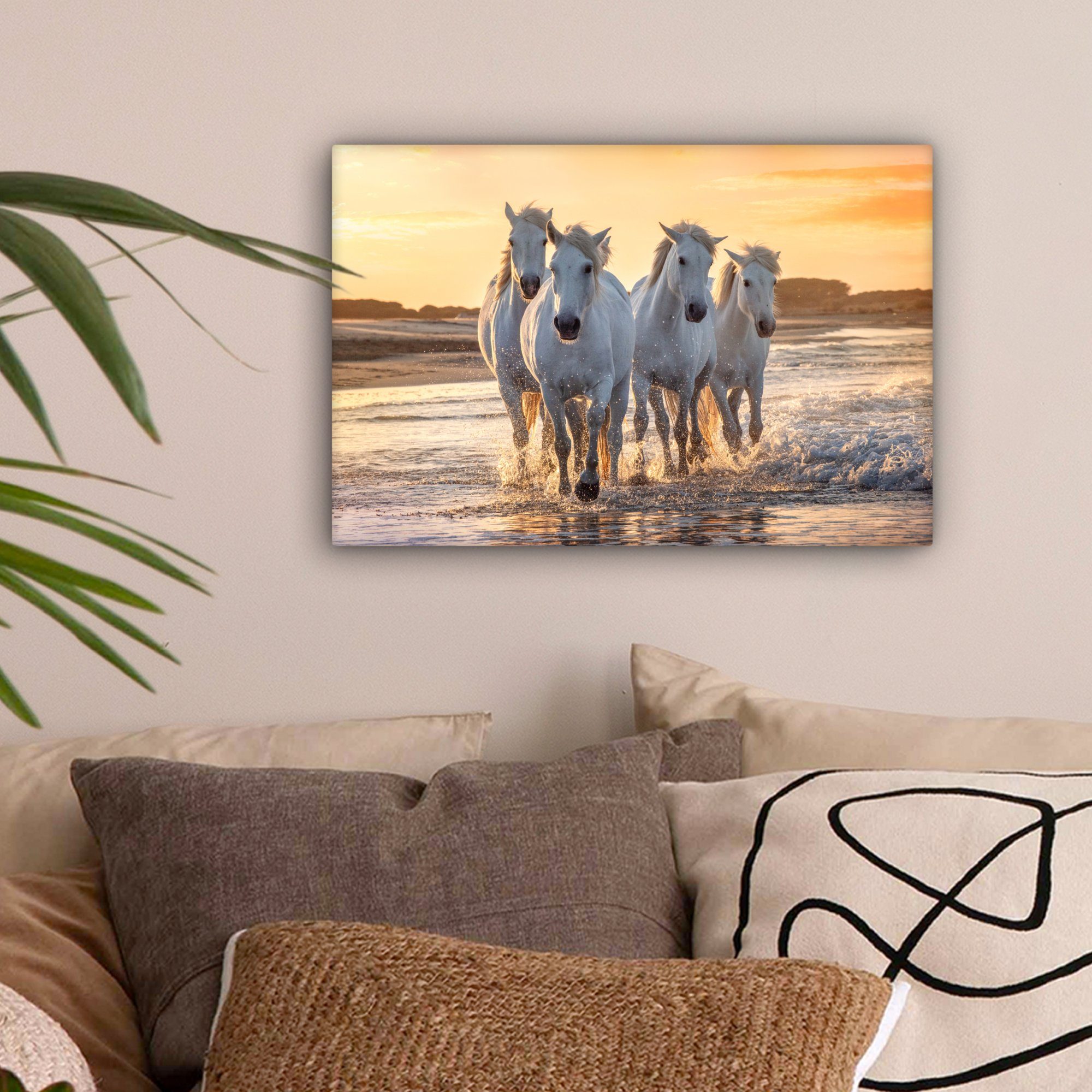 OneMillionCanvasses® Leinwandbild Pferde - Wasser - günstig online kaufen