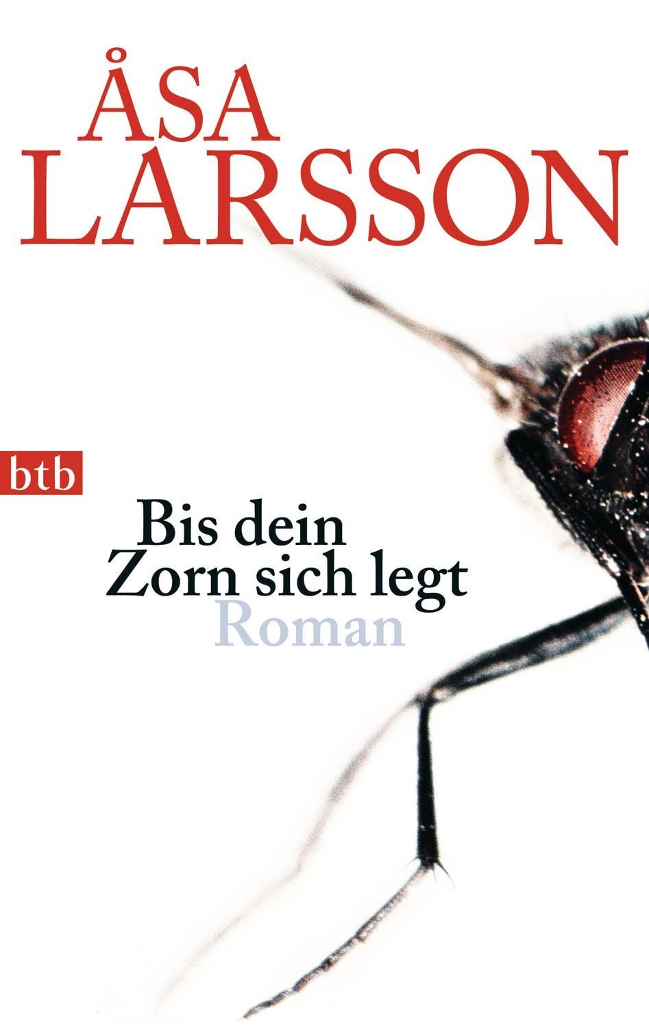 Bis dein Zorn sich legt / Åsa Larsson