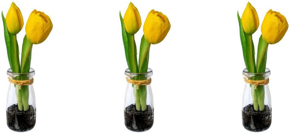 Kunsttulpe Tulpen in Vase Tulpe, my home, Höhe 21 cm, Langlebig, vielseitig  verwendbar und pflegeleicht