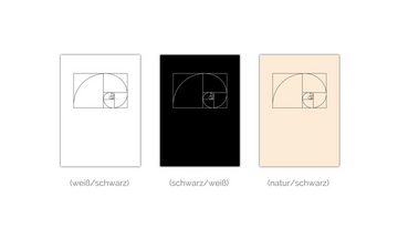 MOTIVISSO Poster Fibonacci klein