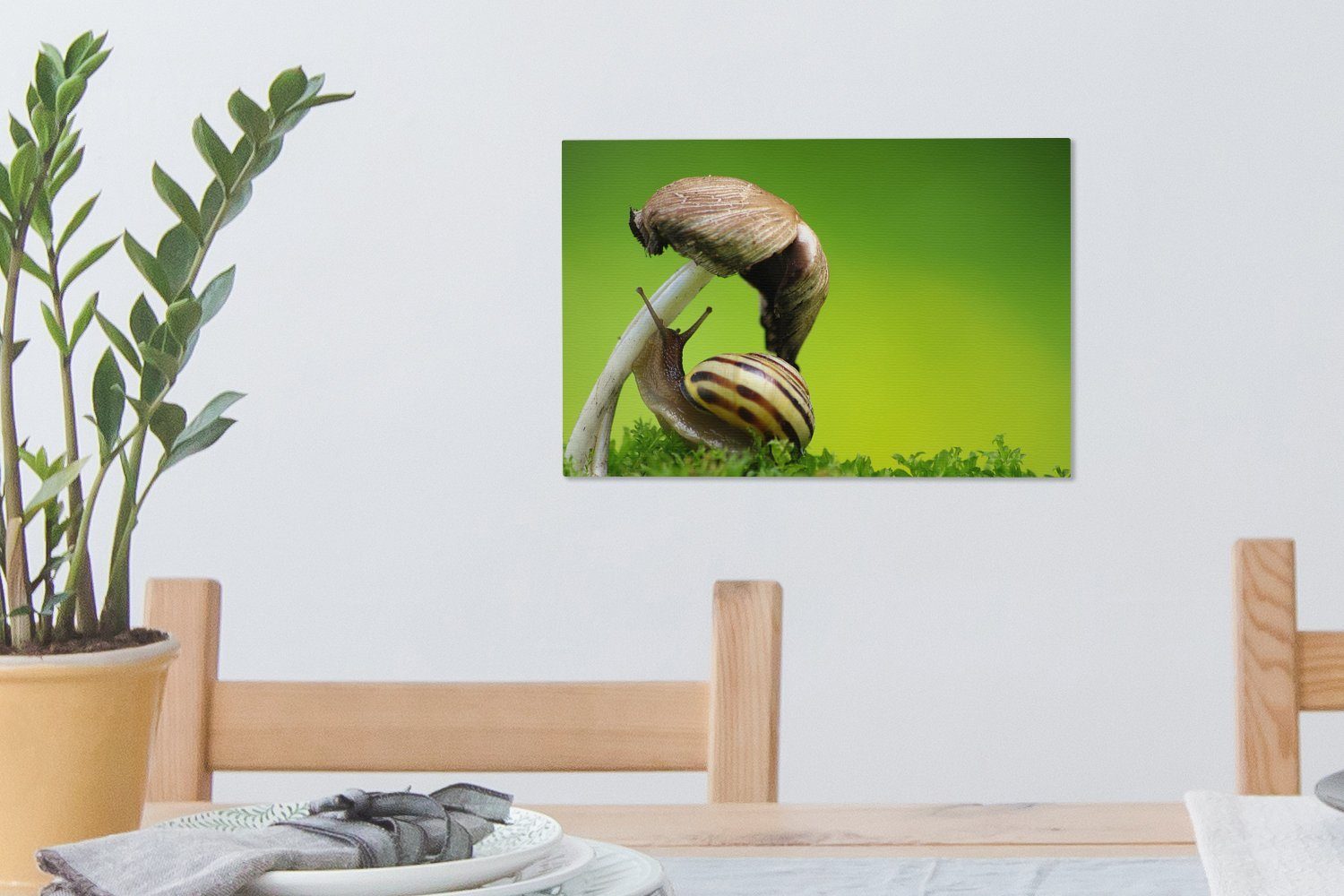 Aufhängefertig, (1 klettert Schnecke Pilz, Wanddeko, Wandbild 30x20 cm OneMillionCanvasses® auf Leinwandbild St), Leinwandbilder,