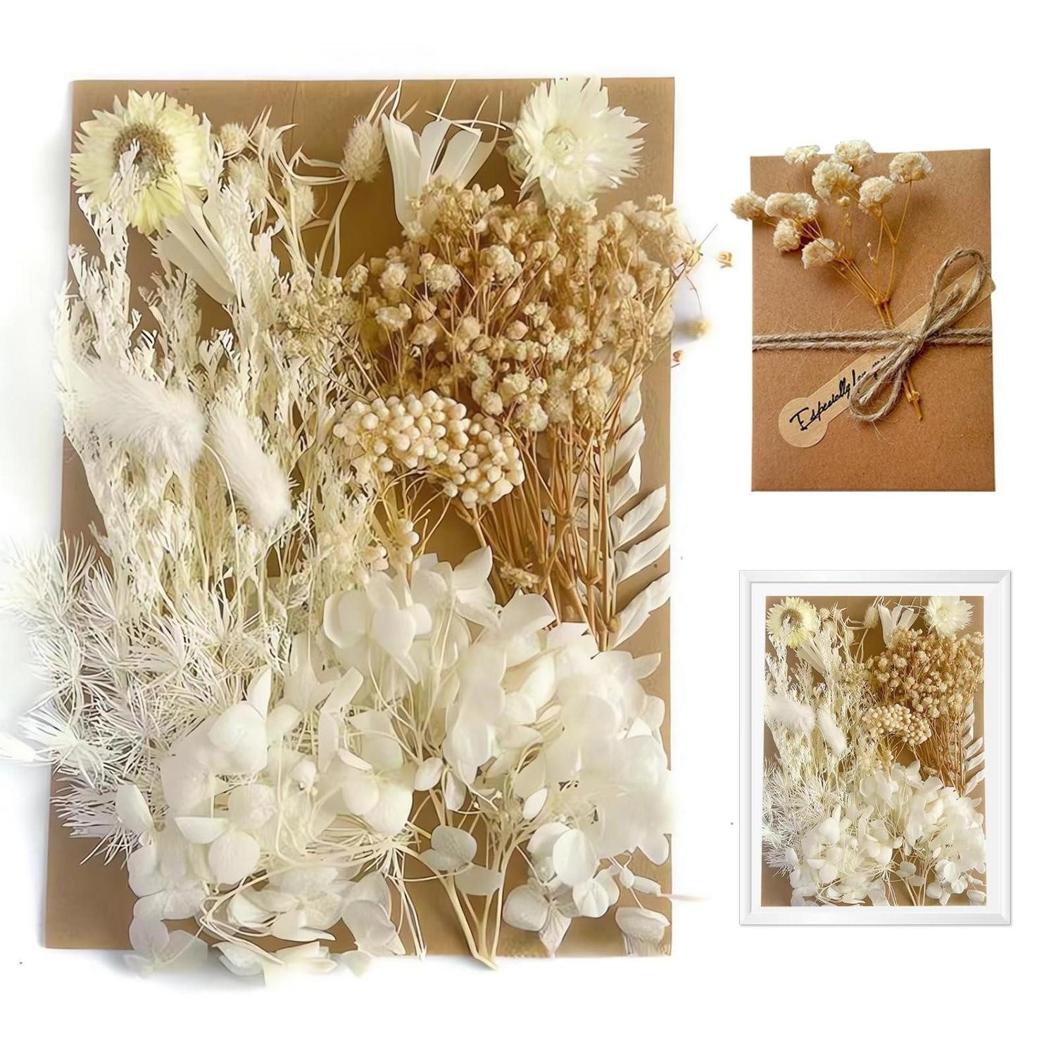 Kleine Trockenblumen online kaufen » Kleines Pampasgras