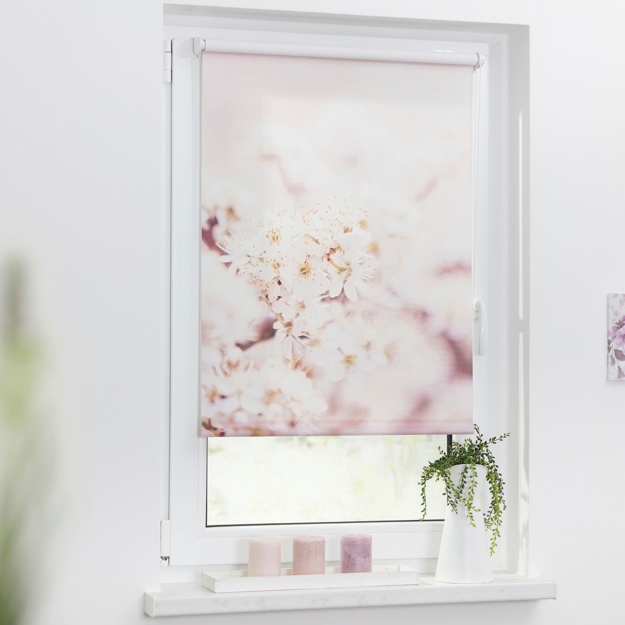 Seitenzugrollo Klemmfix Motiv Kirschblüten, LICHTBLICK ORIGINAL, günstig online kaufen