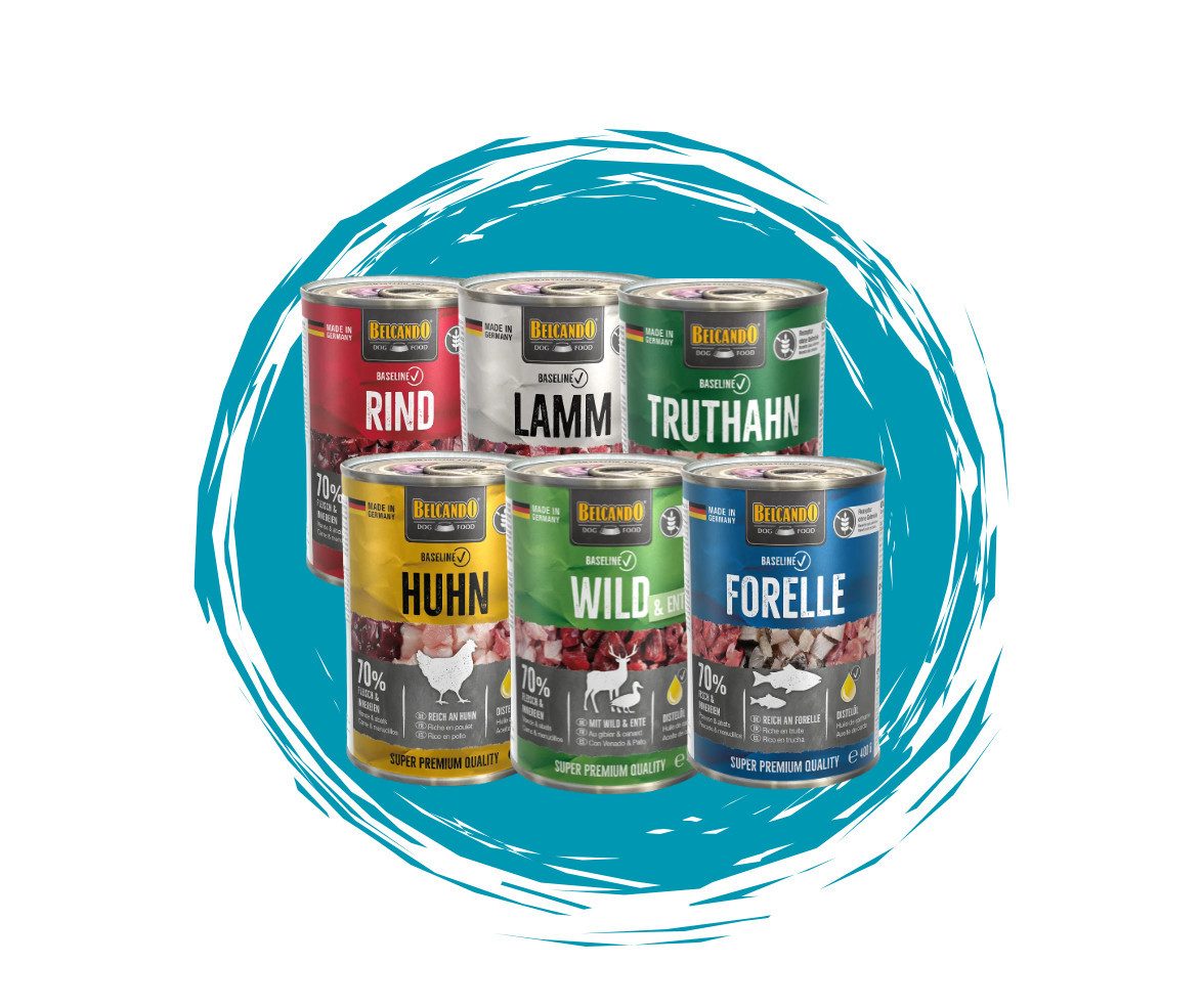 Belcando Baseline Mixpaket - hochwertiges Nassfutter mit 6 verschiedenen Sorten 6x400g, Nassfutter für: Hunde