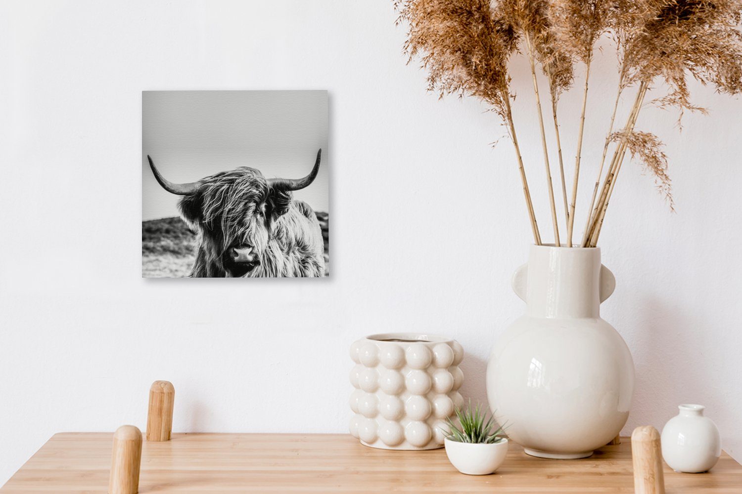 St), (1 Leinwandbild - -, Wohnzimmer Weiß Schlafzimmer Schottischer Hochländer Tier Schwarz - Leinwand bunt Kuh Natur für - - Bilder OneMillionCanvasses® -
