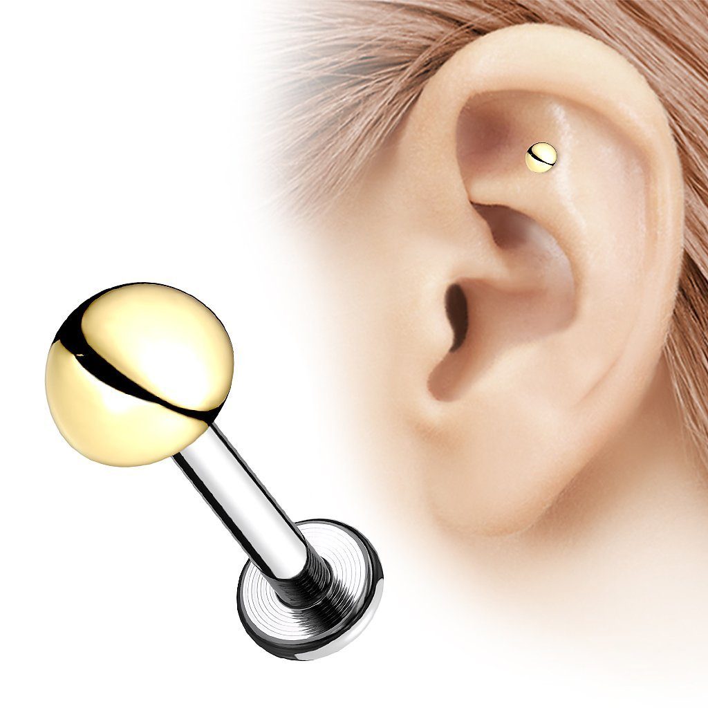 Taffstyle Piercing-Set Titan Tragus Labret Knorpel günstig online kaufen